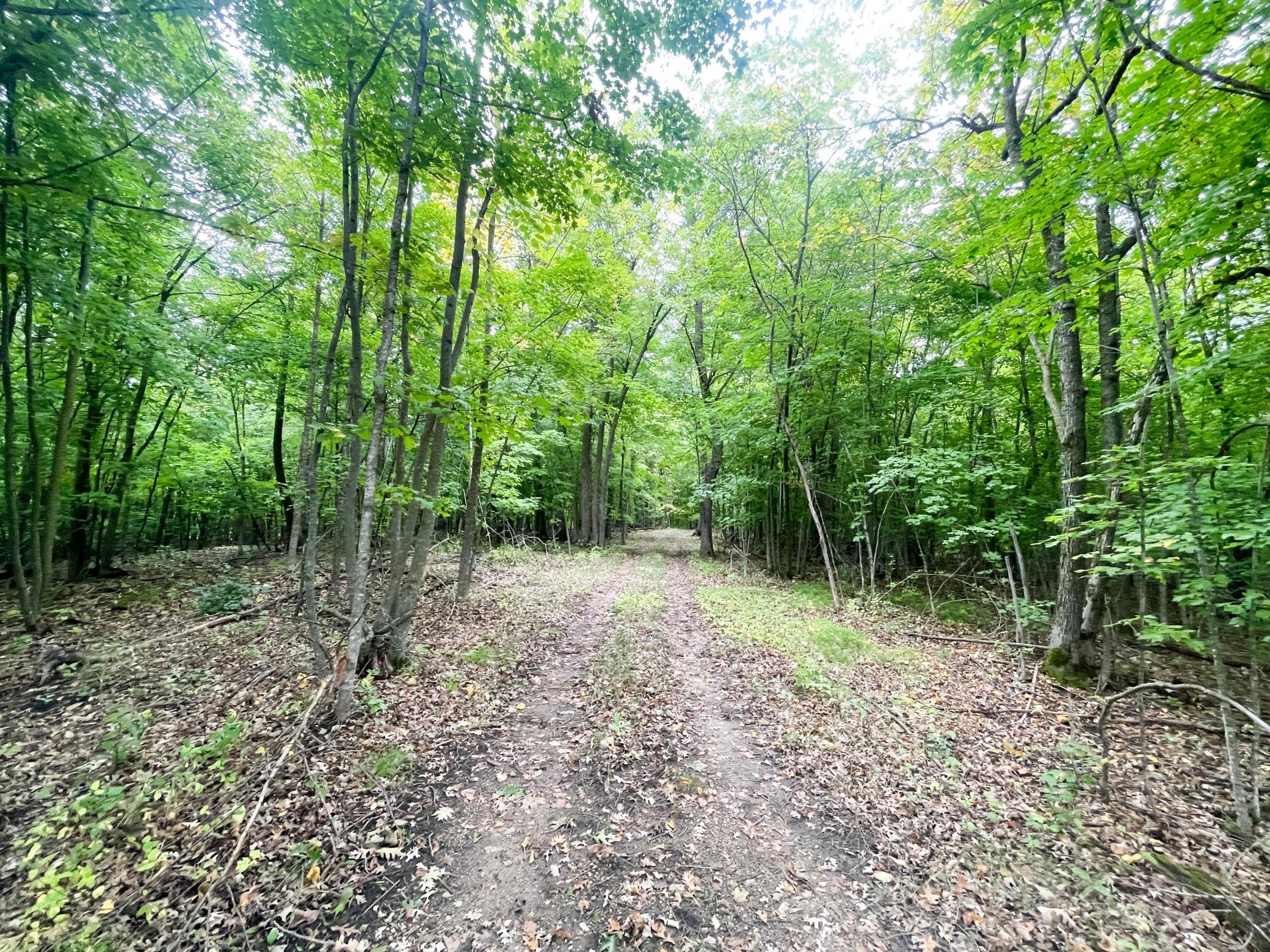 land for sale at TBD CSAH 39 in Waubun, MN (photo 25 of 68)