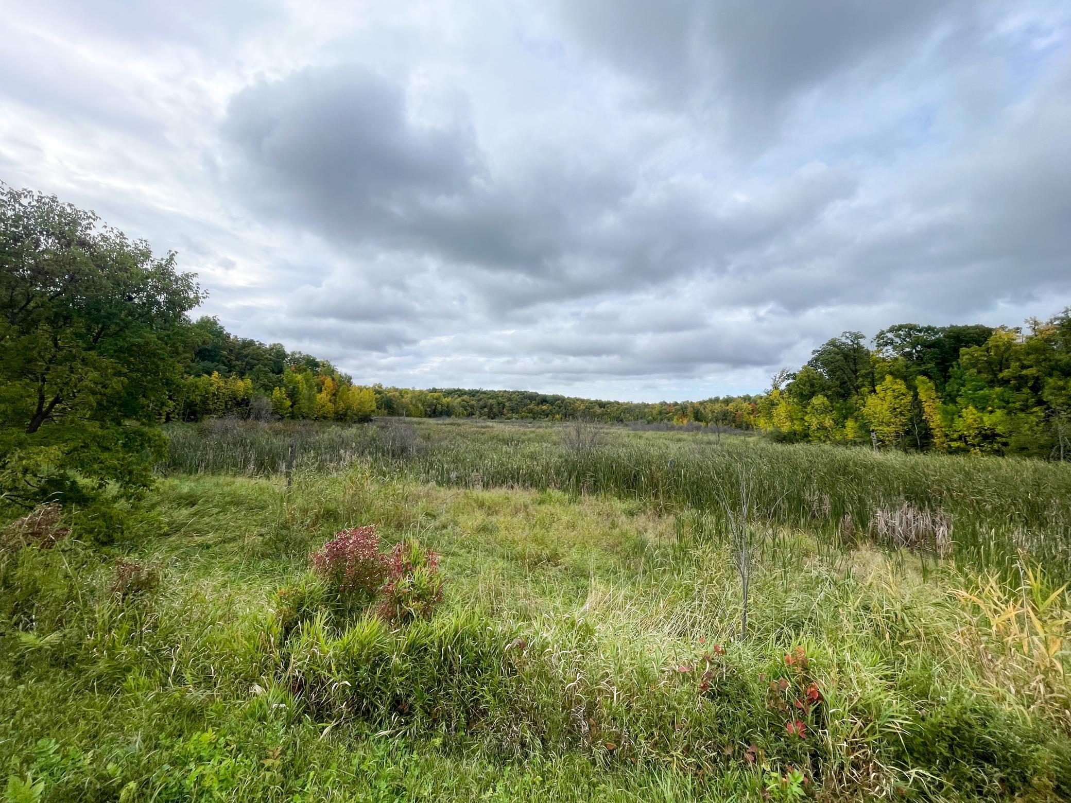 land for sale at TBD CSAH 39 in Waubun, MN (photo 26 of 68)