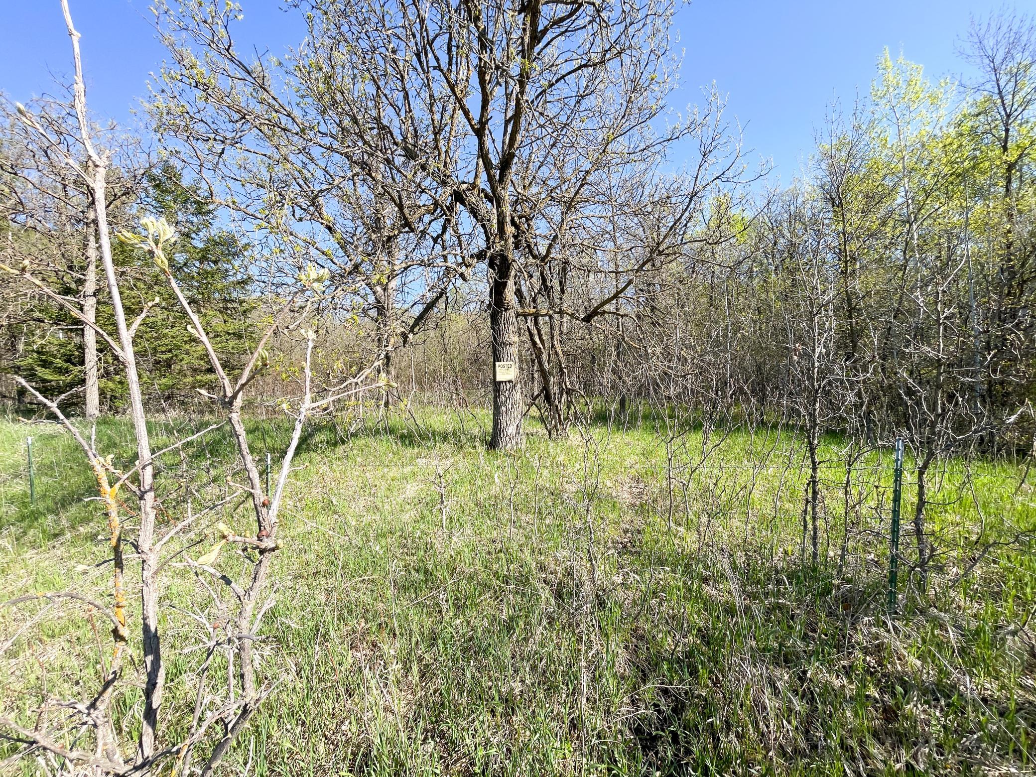 land for sale at TBD CSAH 39 in Waubun, MN (photo 30 of 68)
