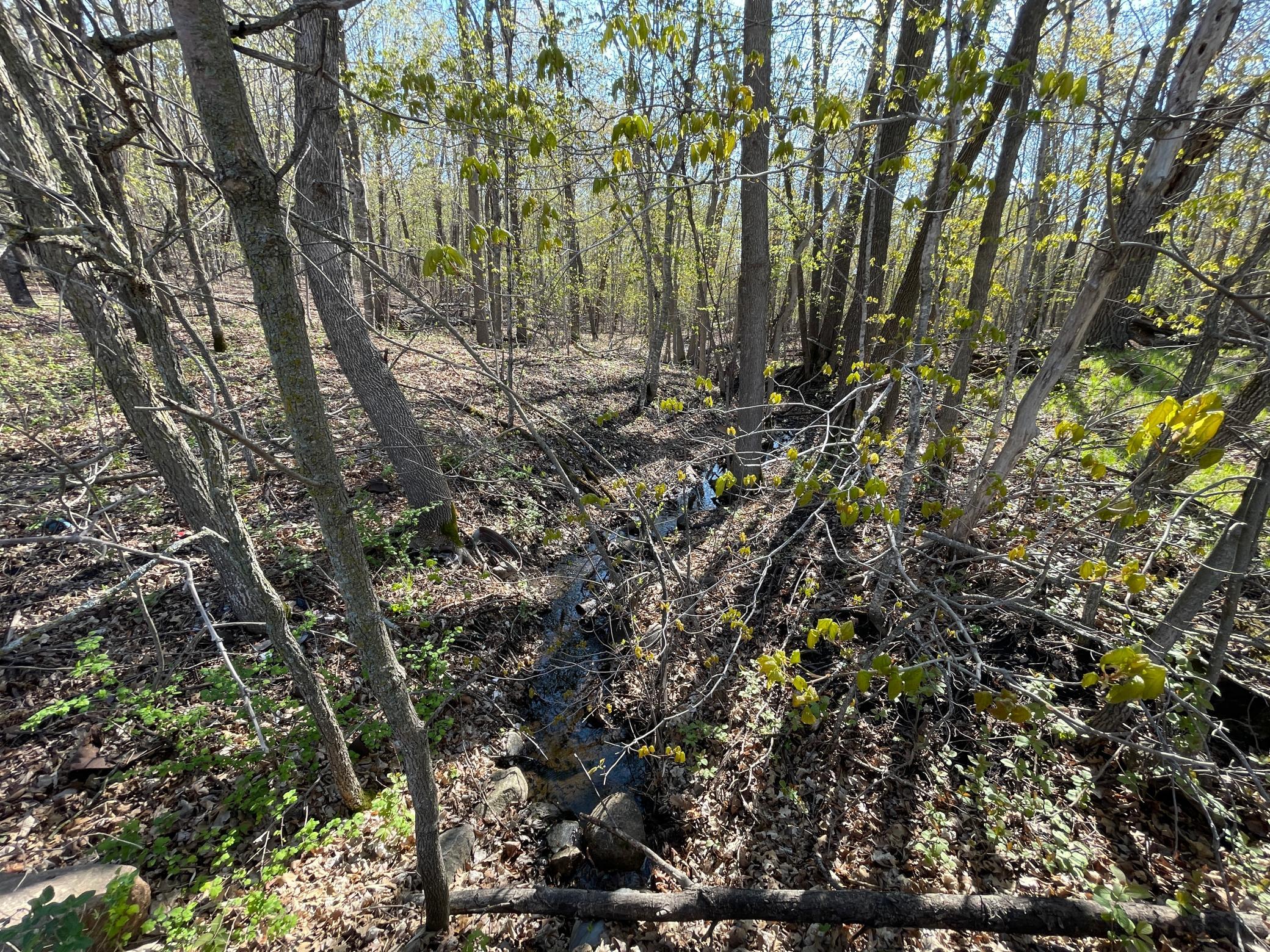 land for sale at TBD CSAH 39 in Waubun, MN (photo 35 of 68)