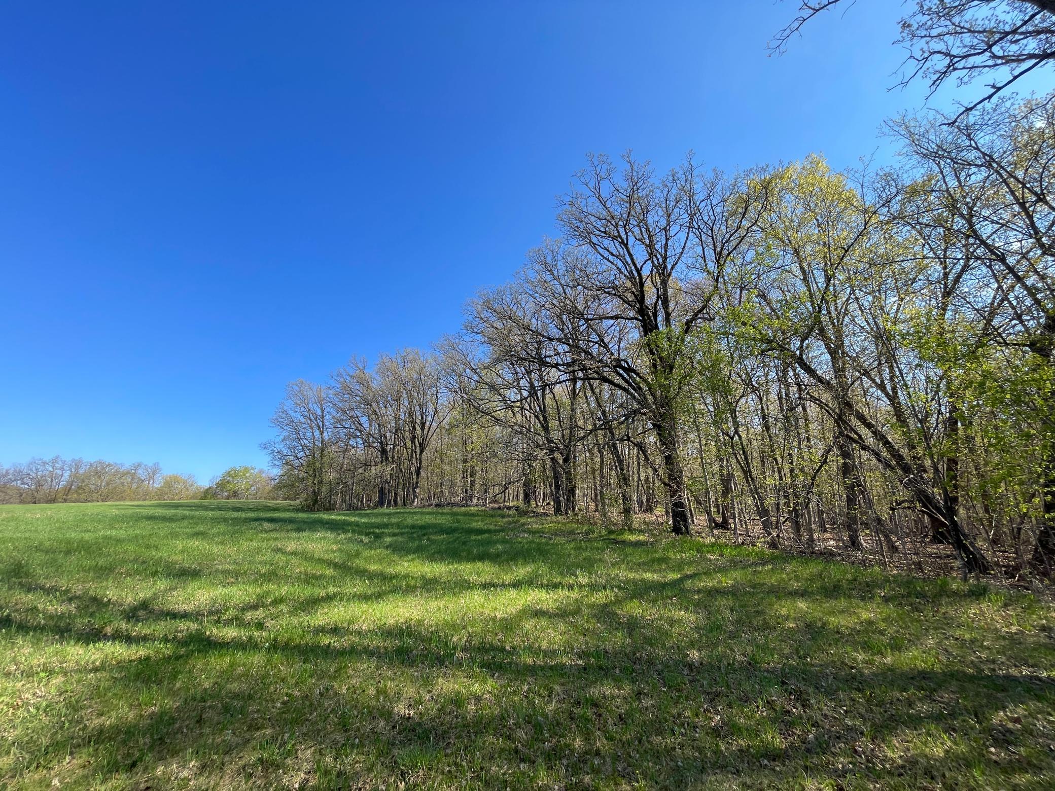 land for sale at TBD CSAH 39 in Waubun, MN (photo 37 of 68)