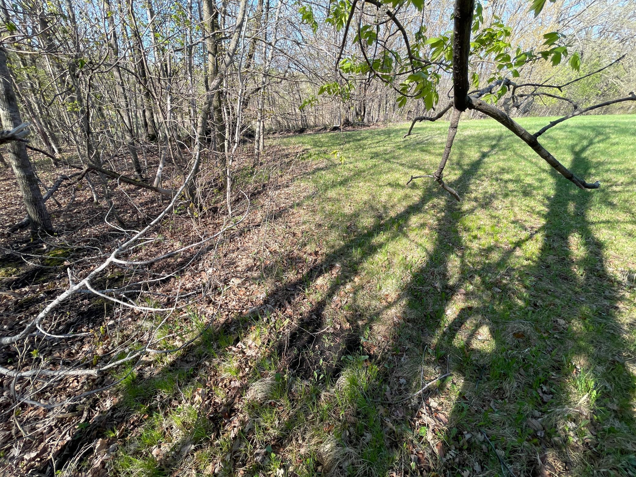 land for sale at TBD CSAH 39 in Waubun, MN (photo 38 of 68)