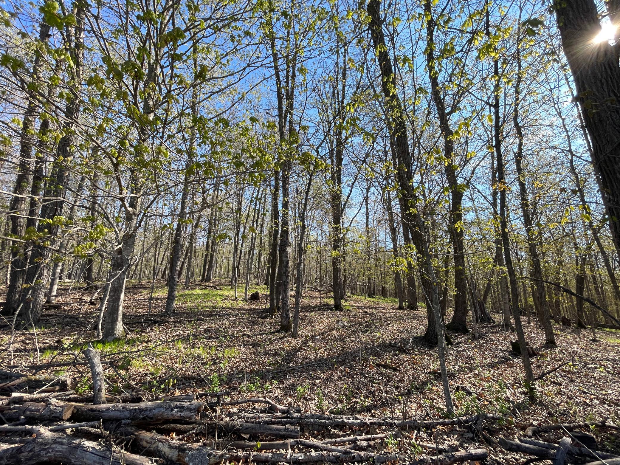 land for sale at TBD CSAH 39 in Waubun, MN (photo 40 of 68)