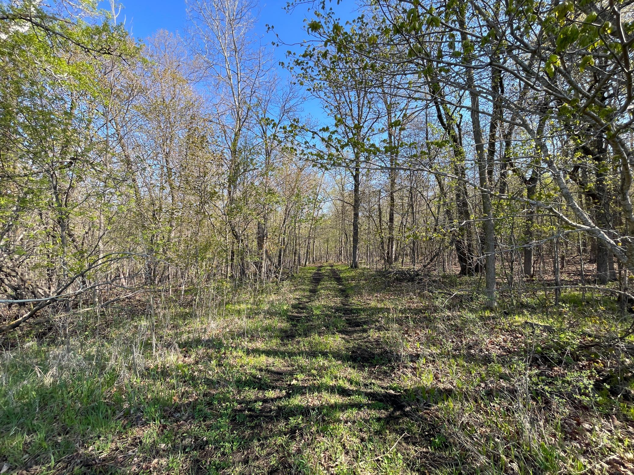 land for sale at TBD CSAH 39 in Waubun, MN (photo 47 of 68)