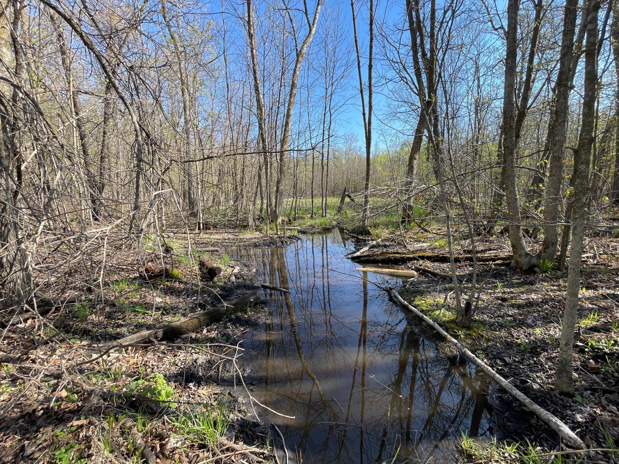 land for sale at TBD CSAH 39 in Waubun, MN (photo 48 of 68)