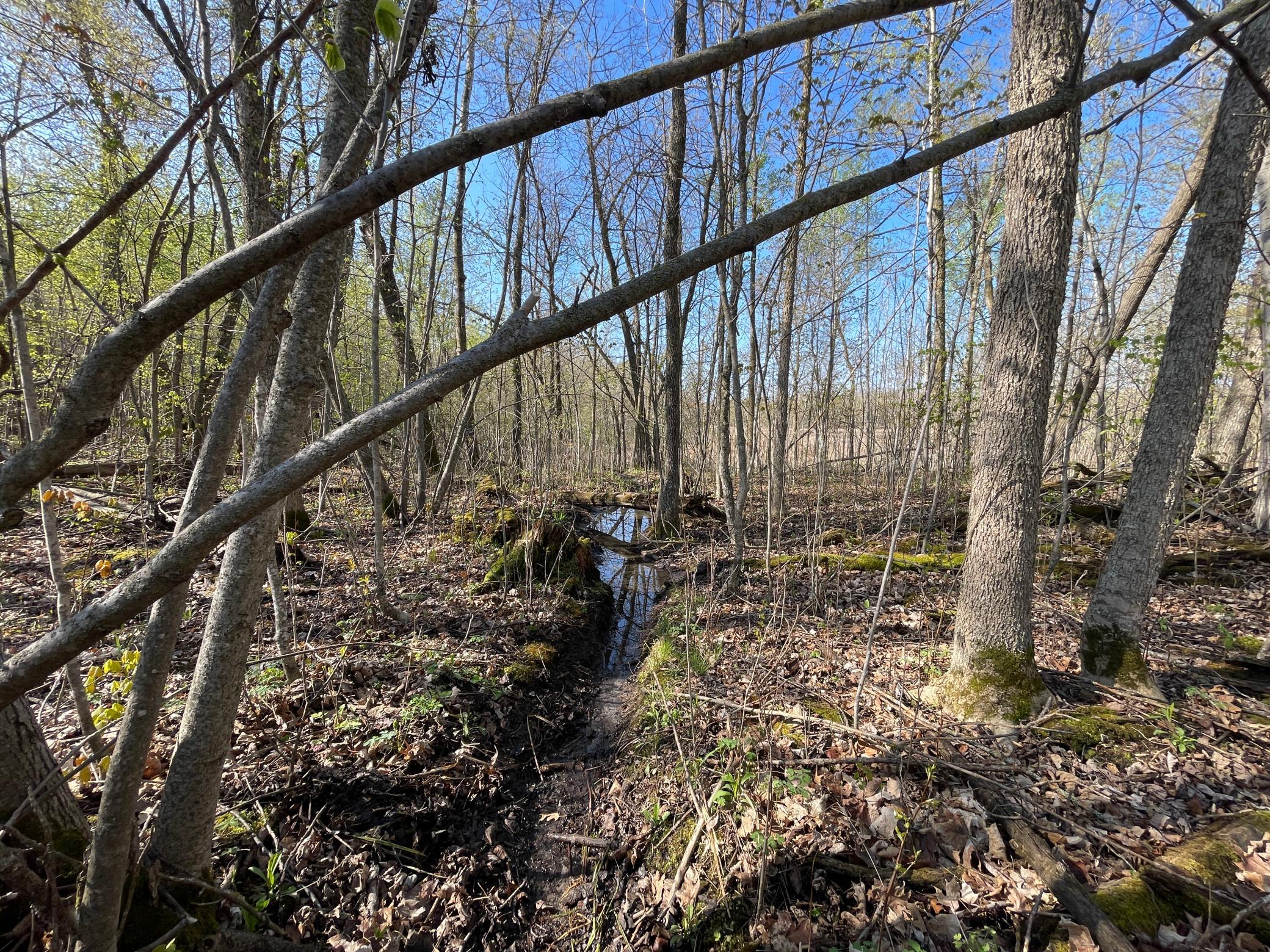 land for sale at TBD CSAH 39 in Waubun, MN (photo 49 of 68)