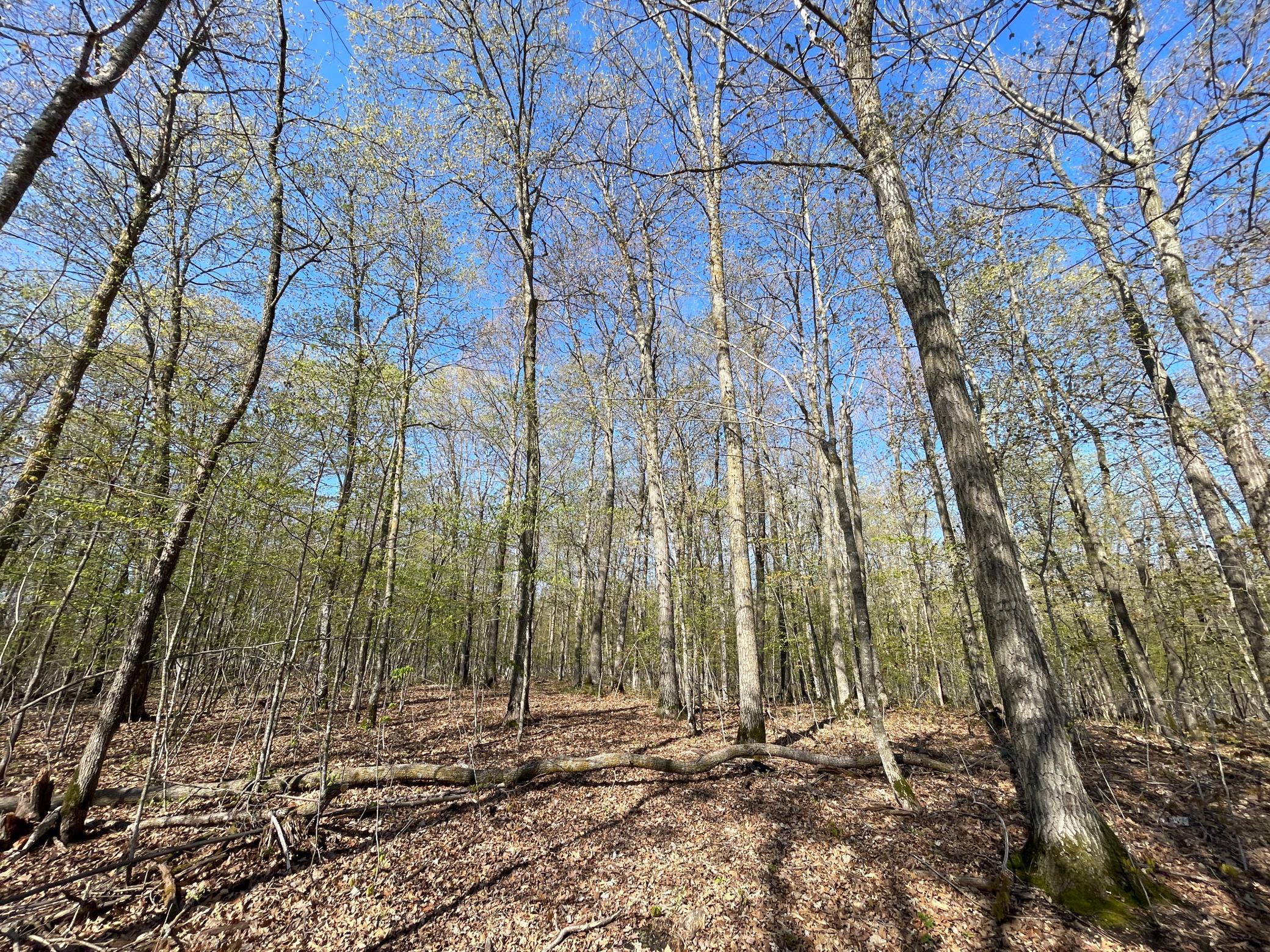 land for sale at TBD CSAH 39 in Waubun, MN (photo 50 of 68)