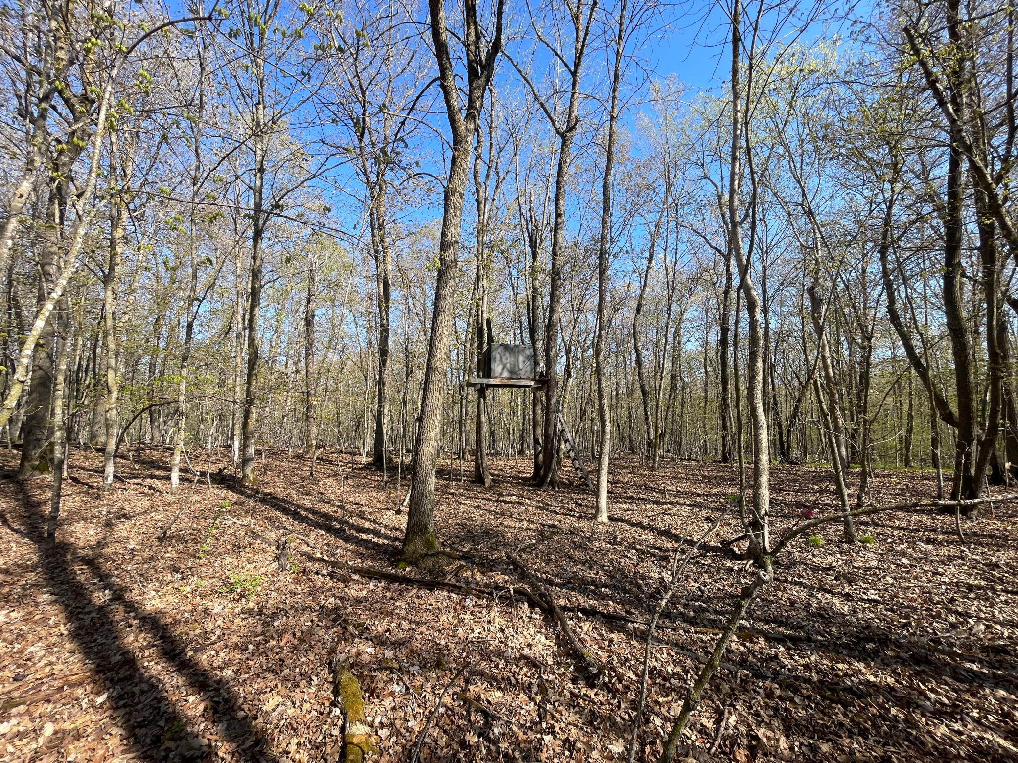 land for sale at TBD CSAH 39 in Waubun, MN (photo 52 of 68)