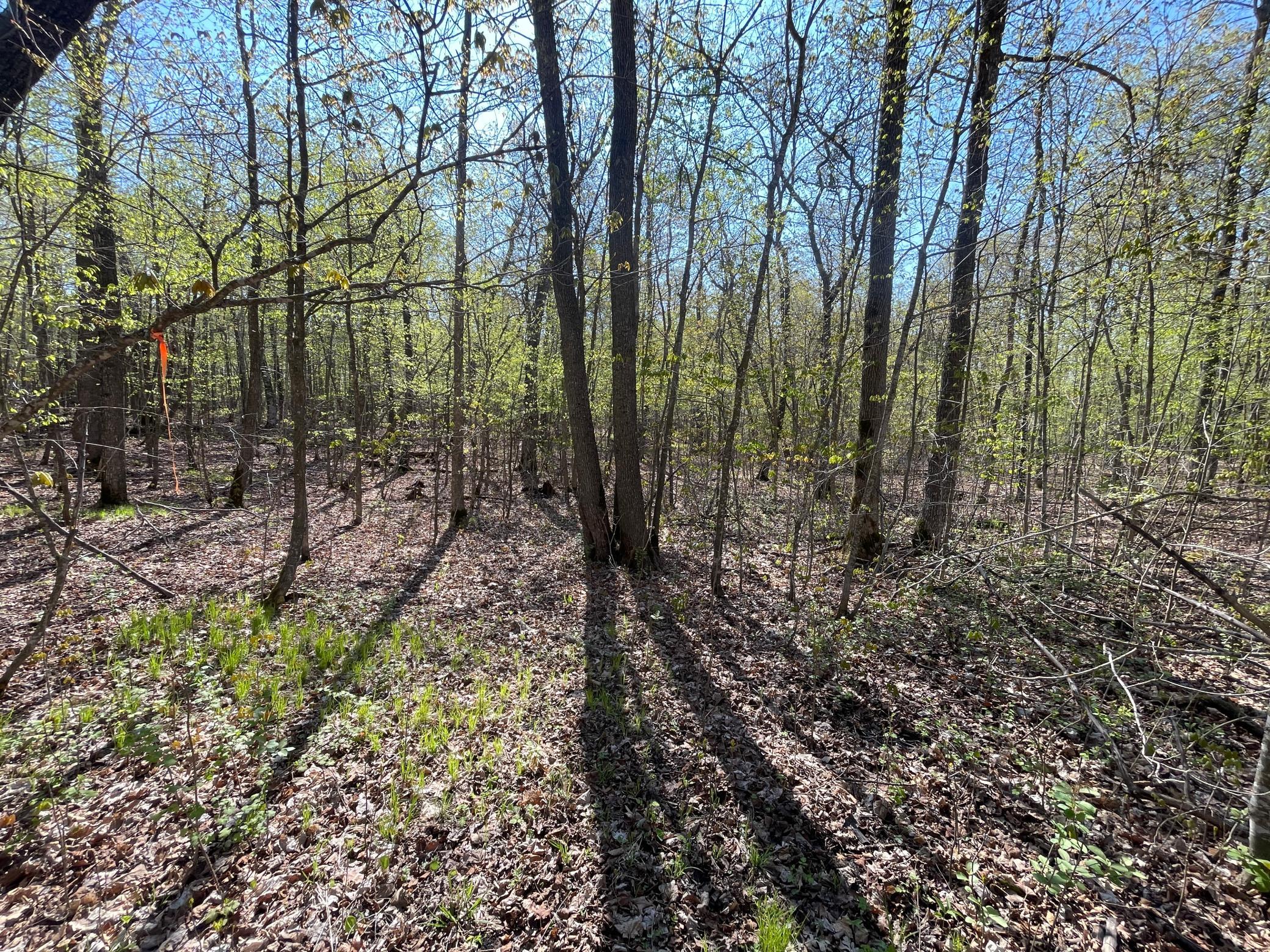 land for sale at TBD CSAH 39 in Waubun, MN (photo 53 of 68)