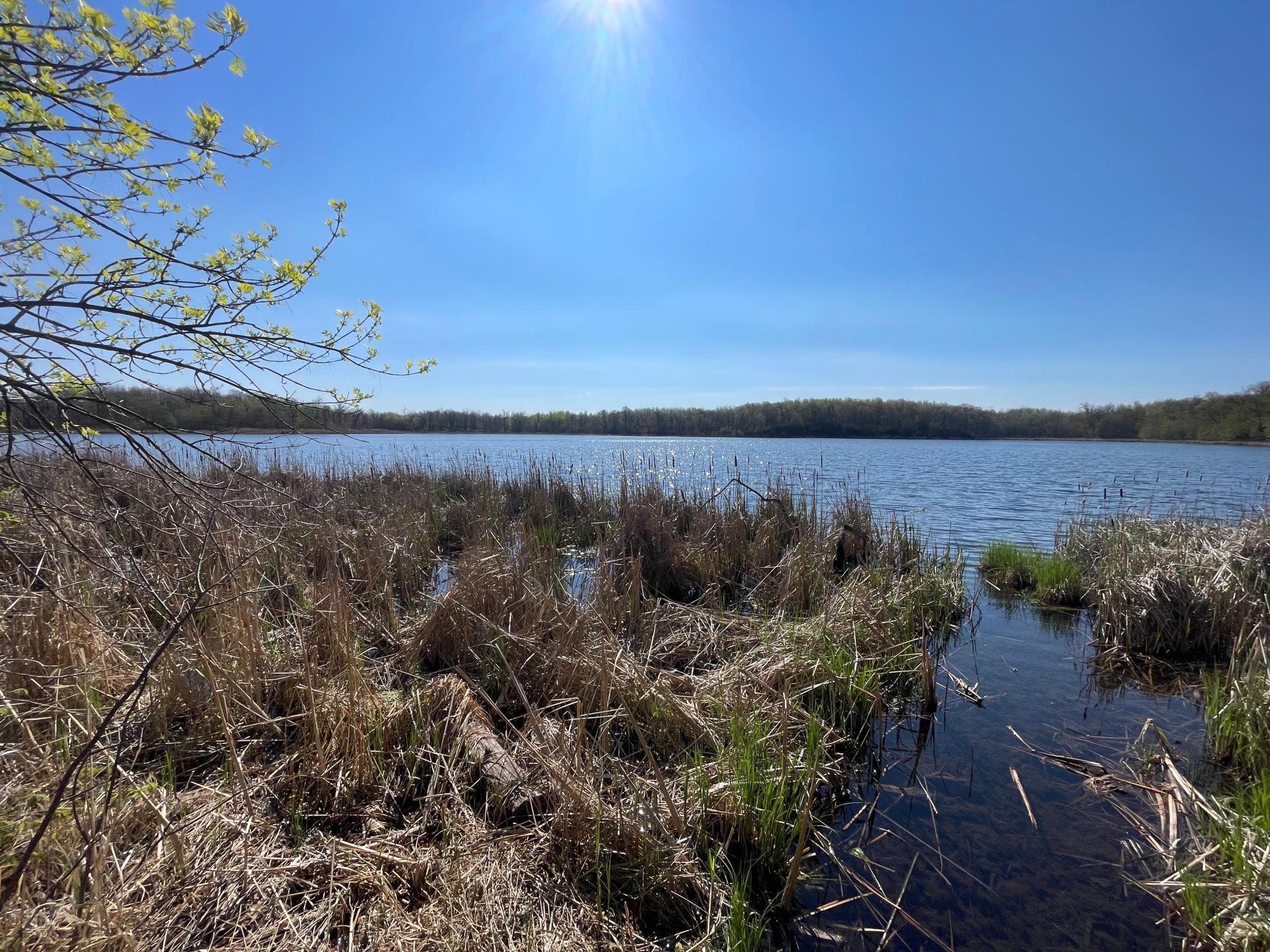 land for sale at TBD CSAH 39 in Waubun, MN (photo 58 of 68)
