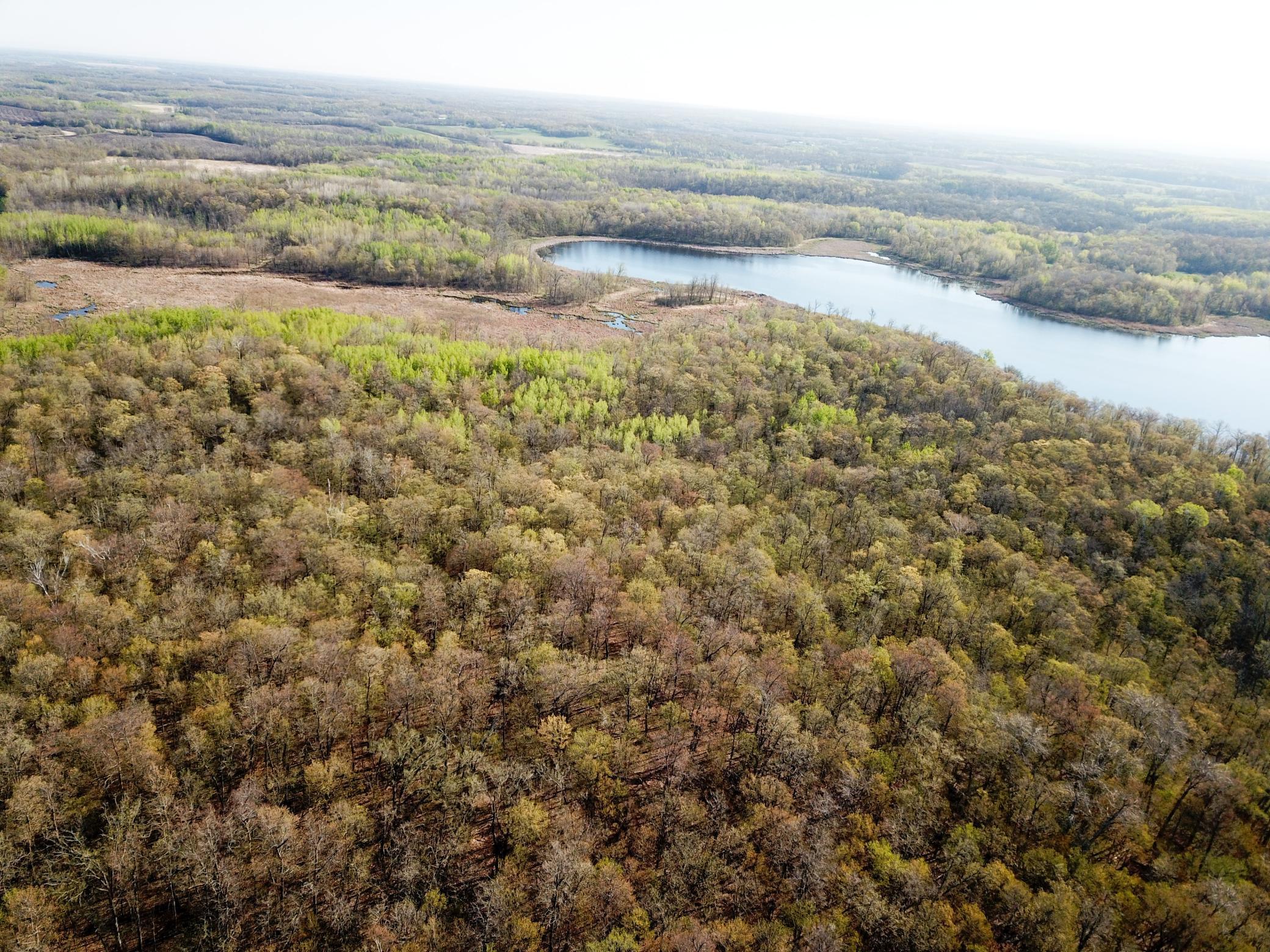 land for sale at TBD CSAH 39 in Waubun, MN (photo 10 of 68)