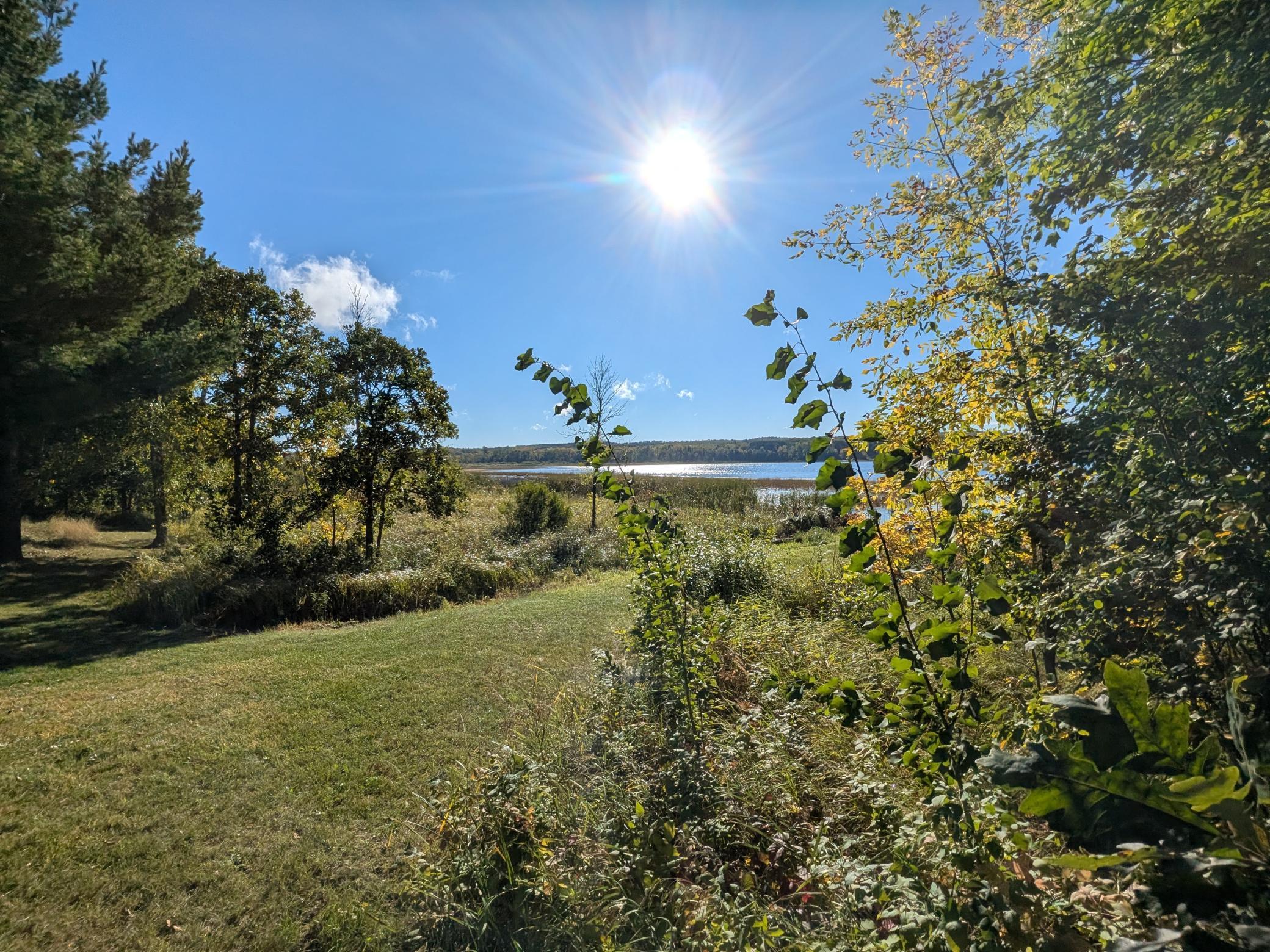 2004 single family home for sale at 10446 Vermillion Point Drive NE in Deer River, MN — 3 bed, 2 bath (photo 8 of 40)