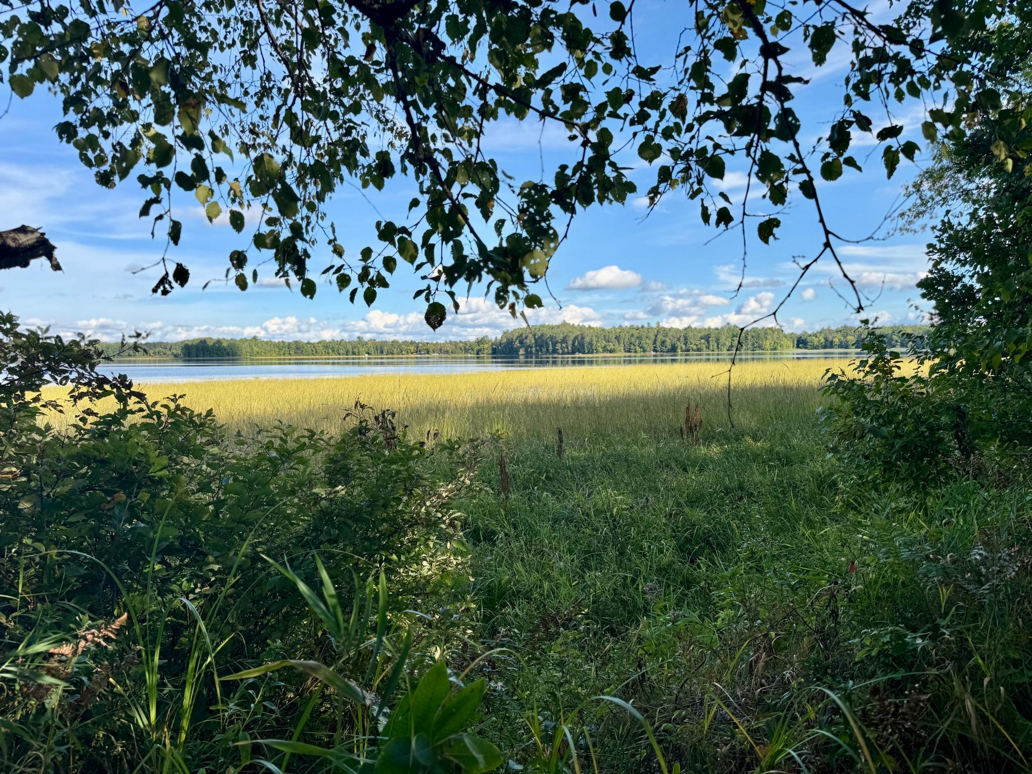 land for sale at 266 Lake Hattie Drive NW in Backus, MN (photo 2 of 21)