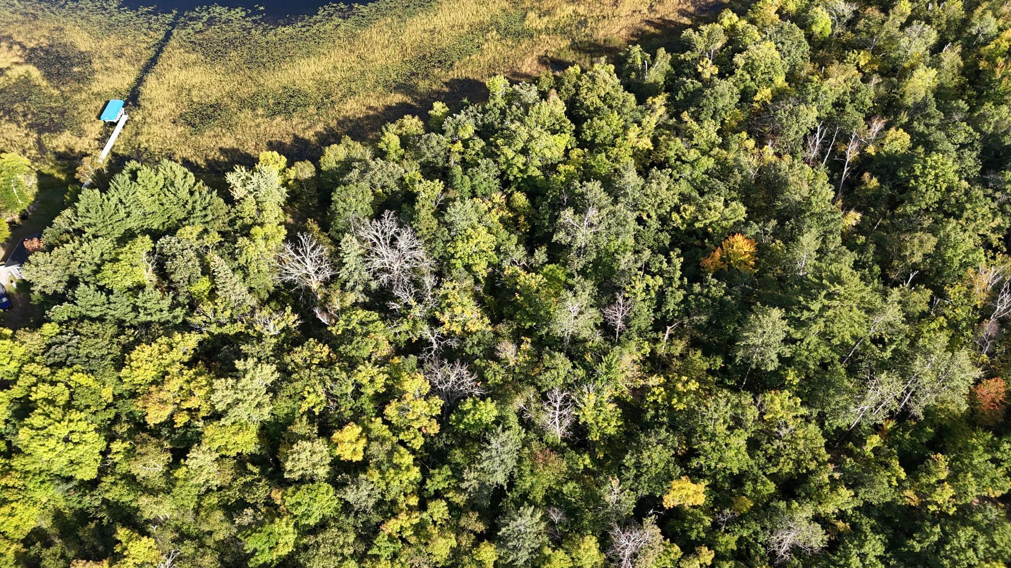 land for sale at 266 Lake Hattie Drive NW in Backus, MN (photo 13 of 21)