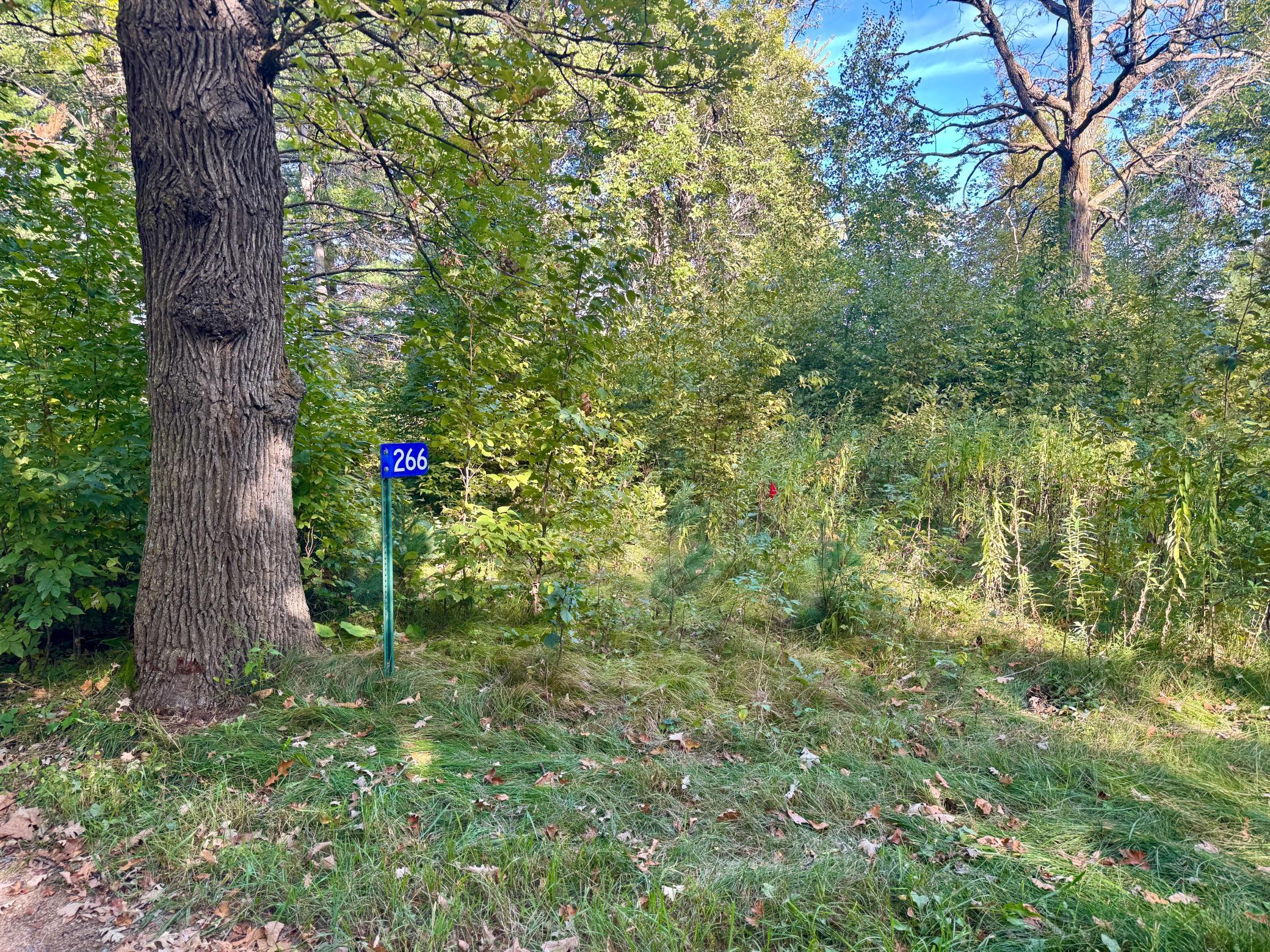 land for sale at 266 Lake Hattie Drive NW in Backus, MN (photo 15 of 21)