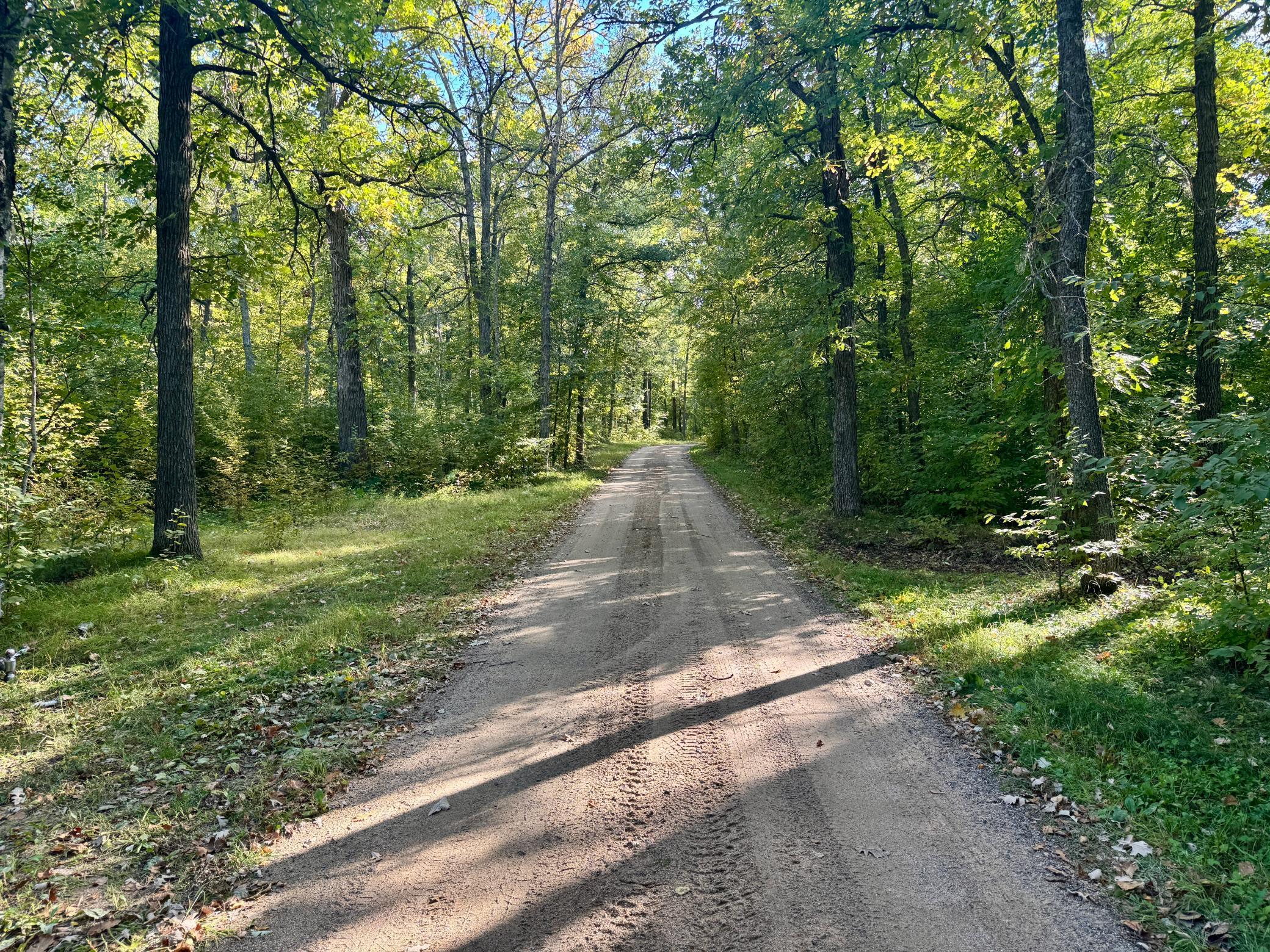 land for sale at 266 Lake Hattie Drive NW in Backus, MN (photo 16 of 21)