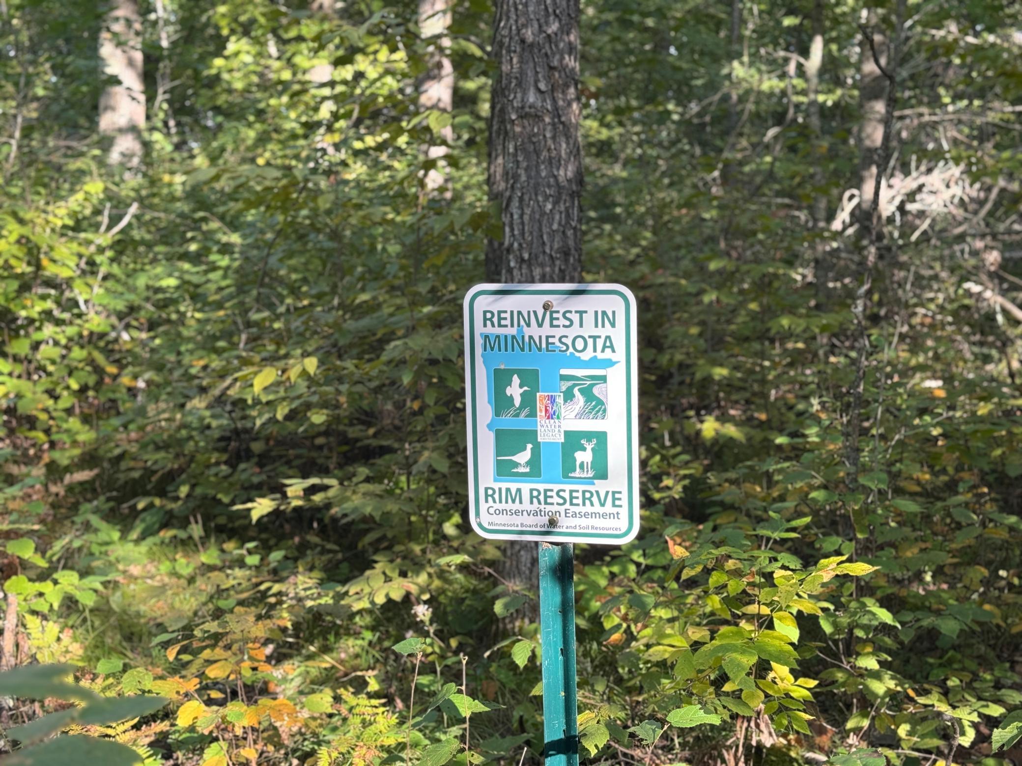 land for sale at 266 Lake Hattie Drive NW in Backus, MN (photo 20 of 21)