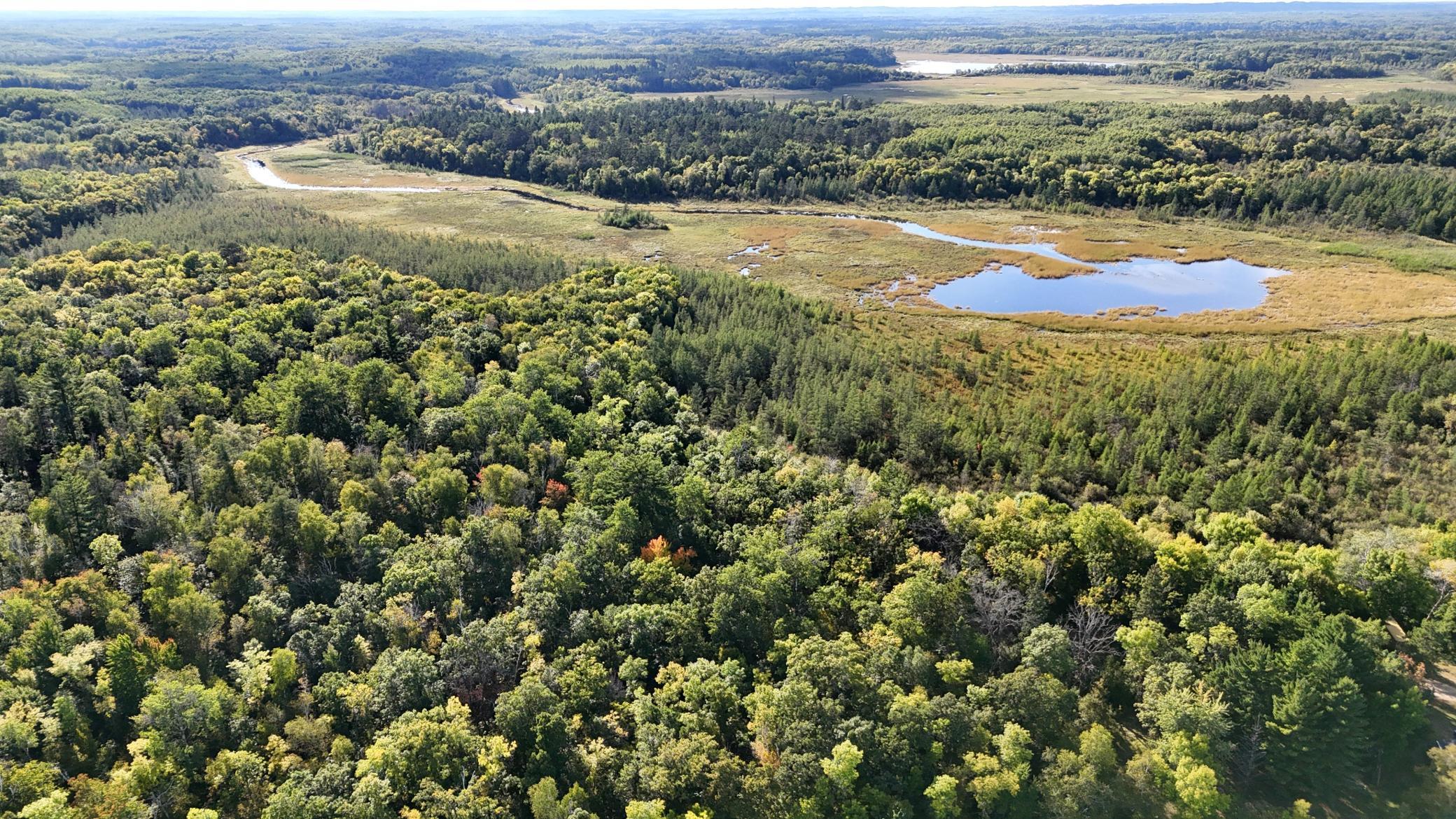 land for sale at 266 Lake Hattie Drive NW in Backus, MN (photo 3 of 21)