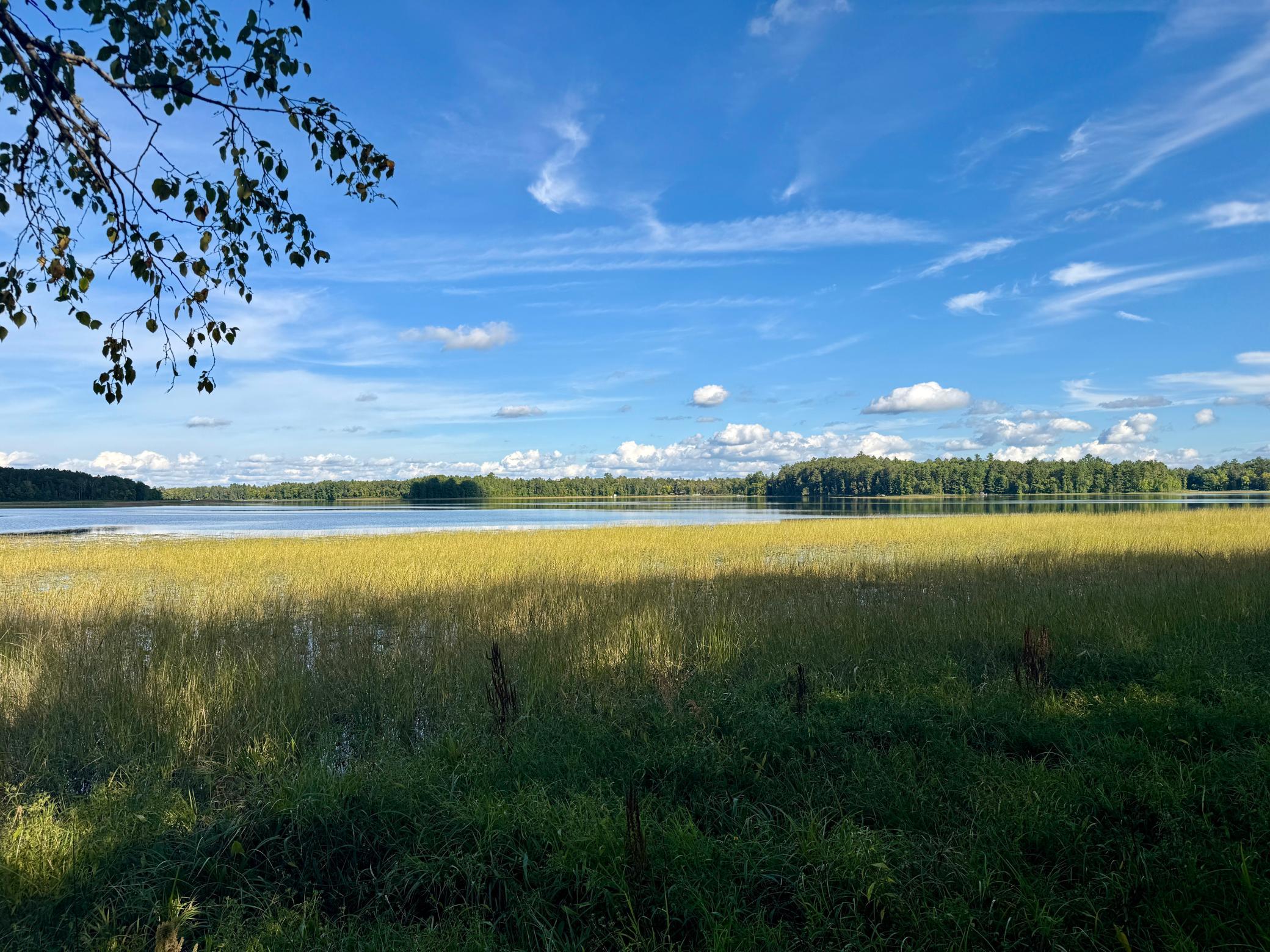 land for sale at 266 Lake Hattie Drive NW in Backus, MN (photo 5 of 21)