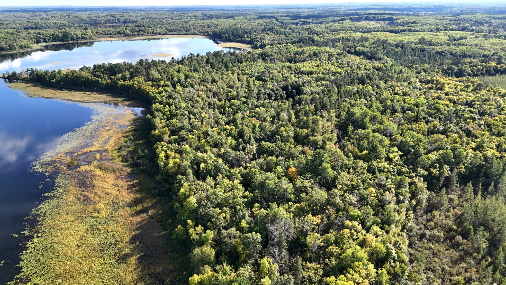 land for sale at 266 Lake Hattie Drive NW in Backus, MN (photo 6 of 21)