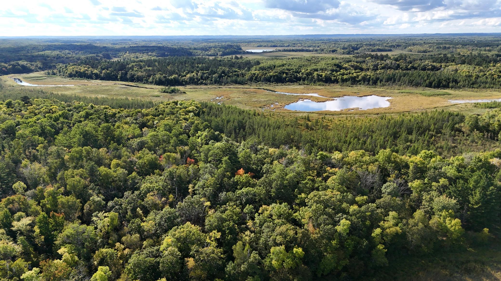 land for sale at 266 Lake Hattie Drive NW in Backus, MN (photo 9 of 21)