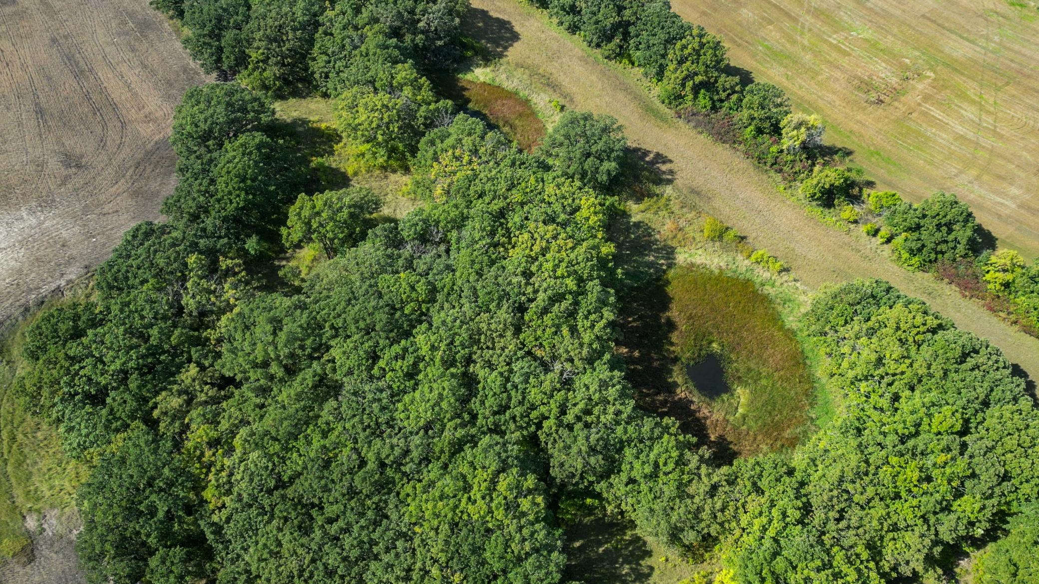 2022 land for sale at T B D Co Hwy 18 in Fergus Falls, MN (photo 13 of 13)