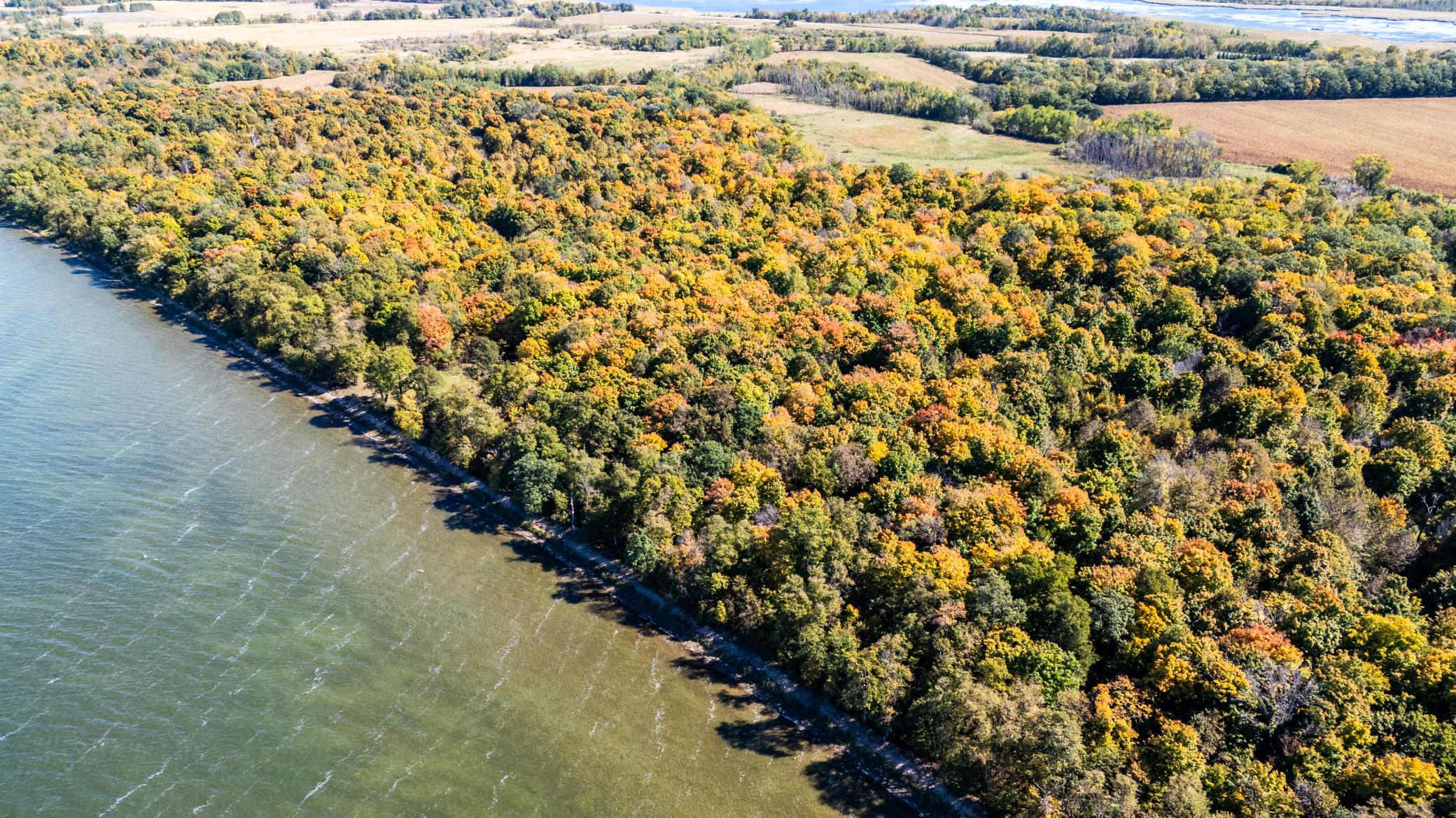 land for sale at Tract A 332nd Street in Richville, MN (photo 4 of 5)
