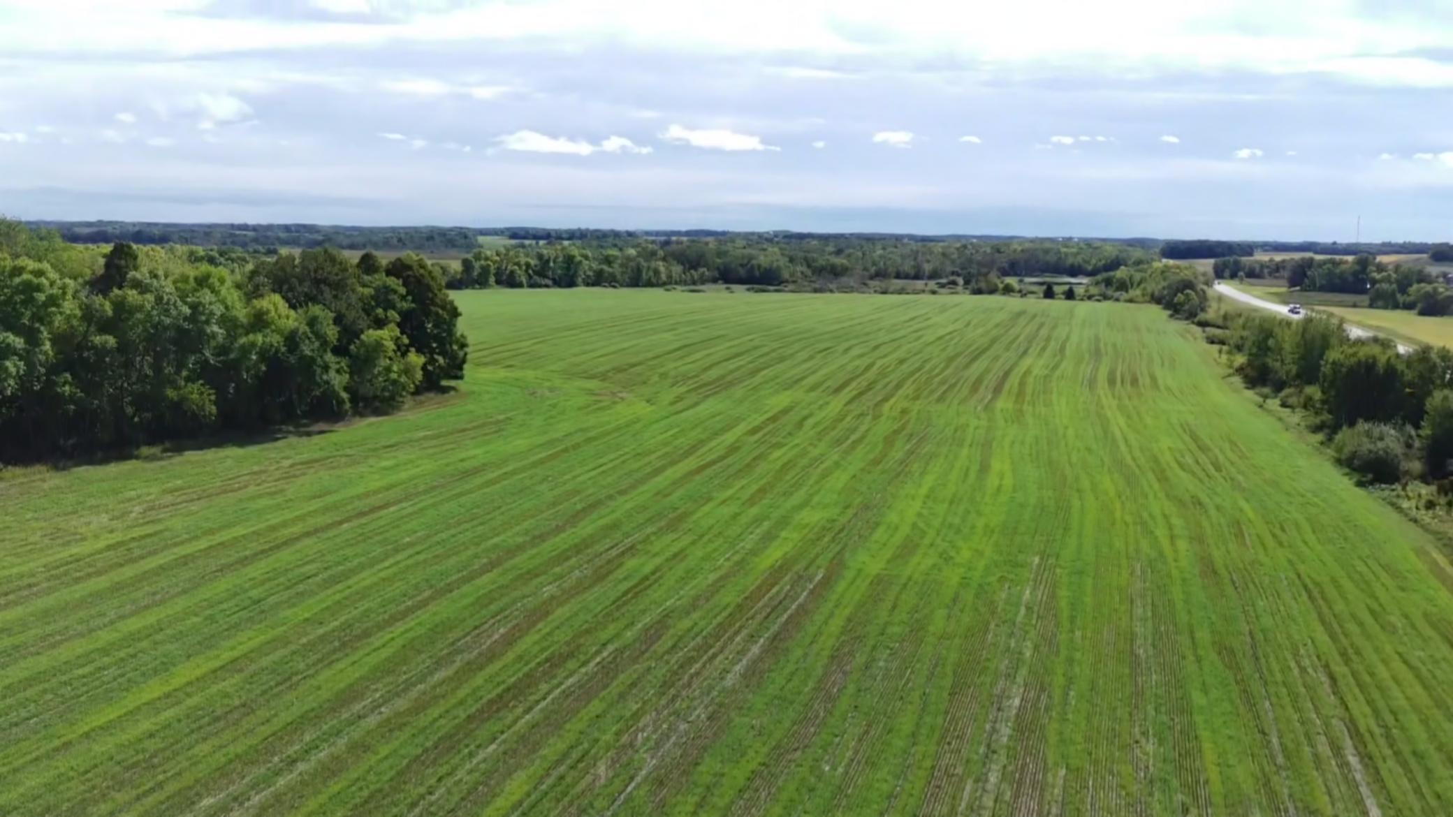 1912 land for sale at 15095 400th Street in Eagle Bend, MN