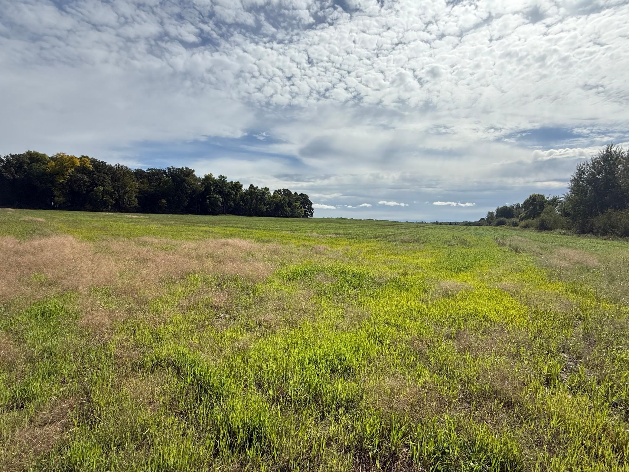 1912 land for sale at 15095 400th Street in Eagle Bend, MN (photo 2 of 31)