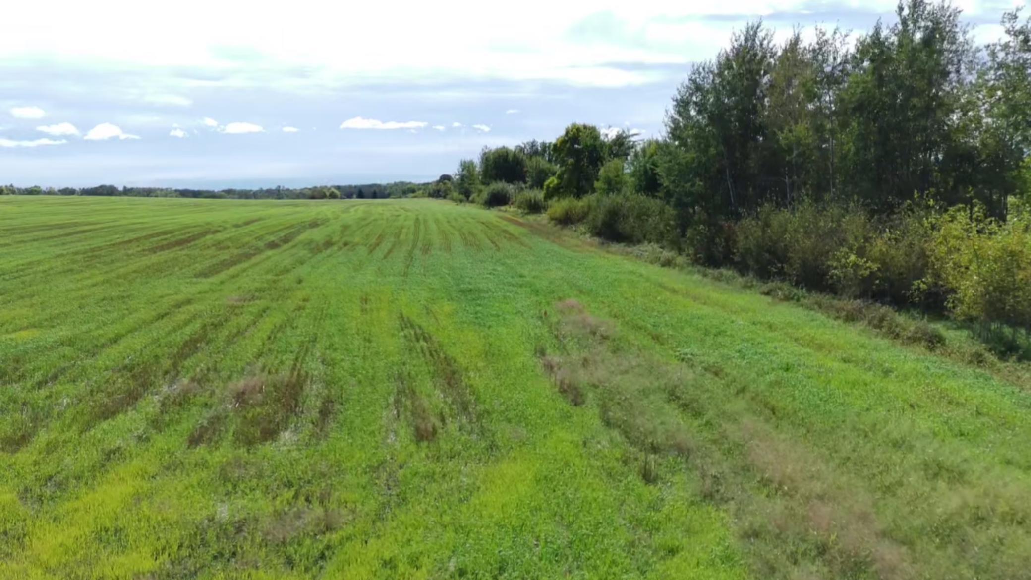 1912 land for sale at 15095 400th Street in Eagle Bend, MN (photo 11 of 31)