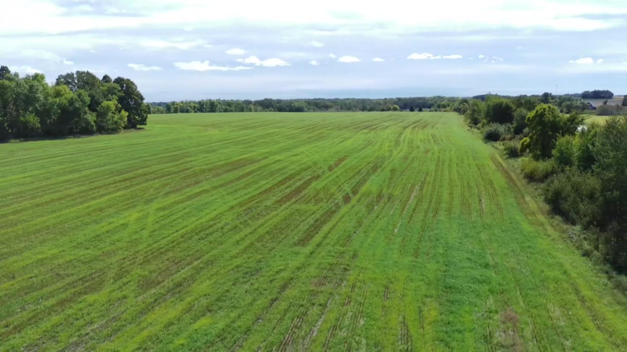 1912 land for sale at 15095 400th Street in Eagle Bend, MN (photo 12 of 31)