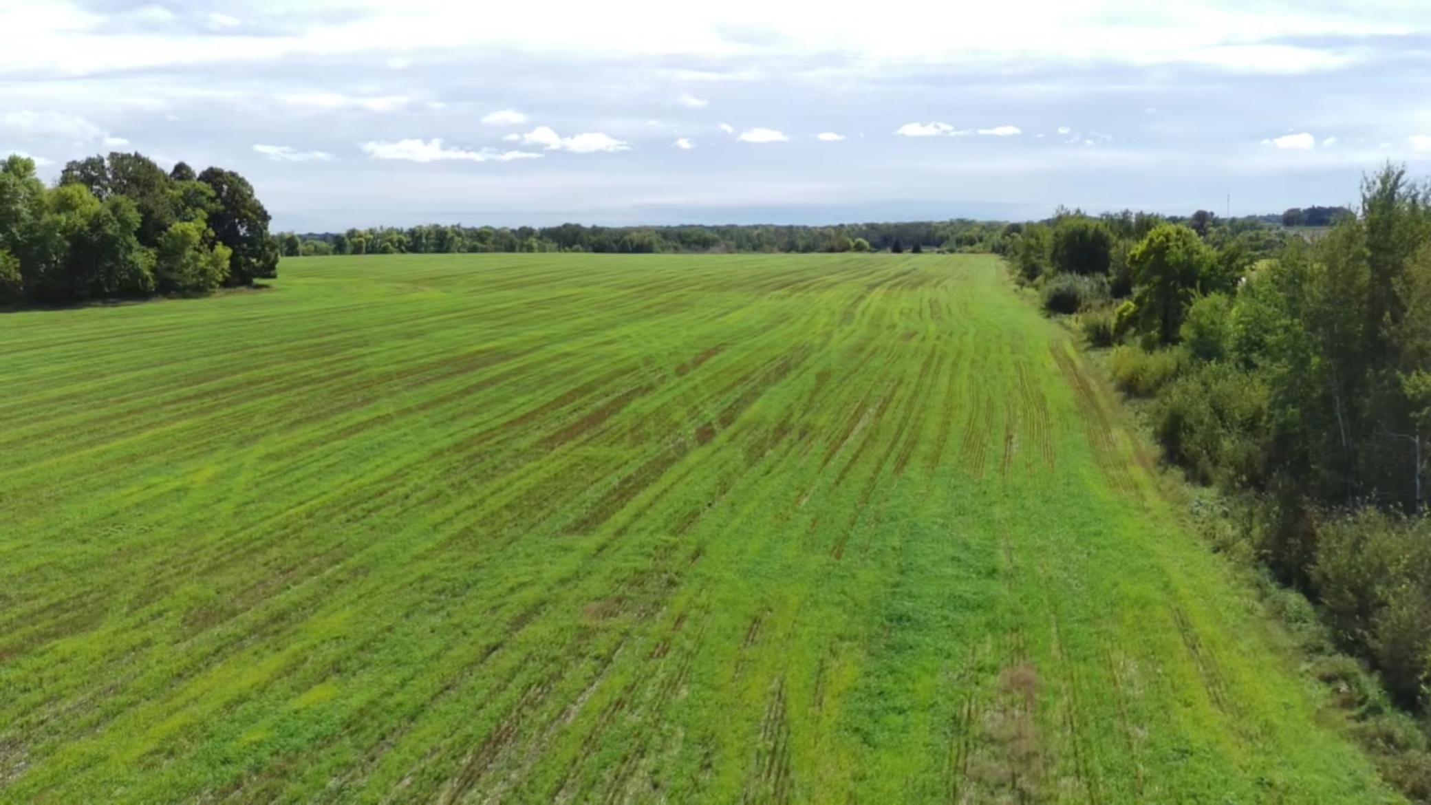 1912 land for sale at 15095 400th Street in Eagle Bend, MN (photo 13 of 31)