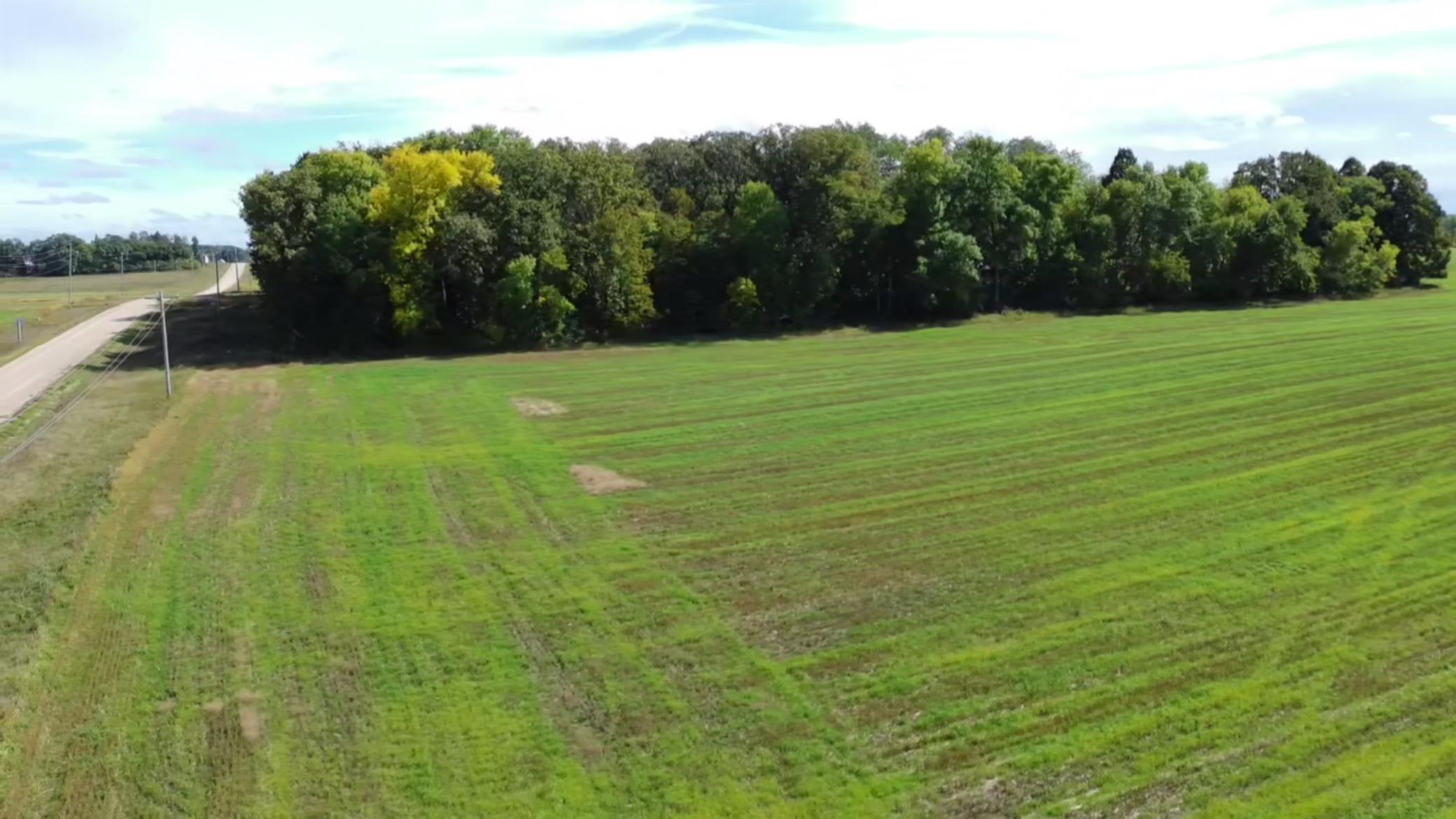 1912 land for sale at 15095 400th Street in Eagle Bend, MN (photo 14 of 31)