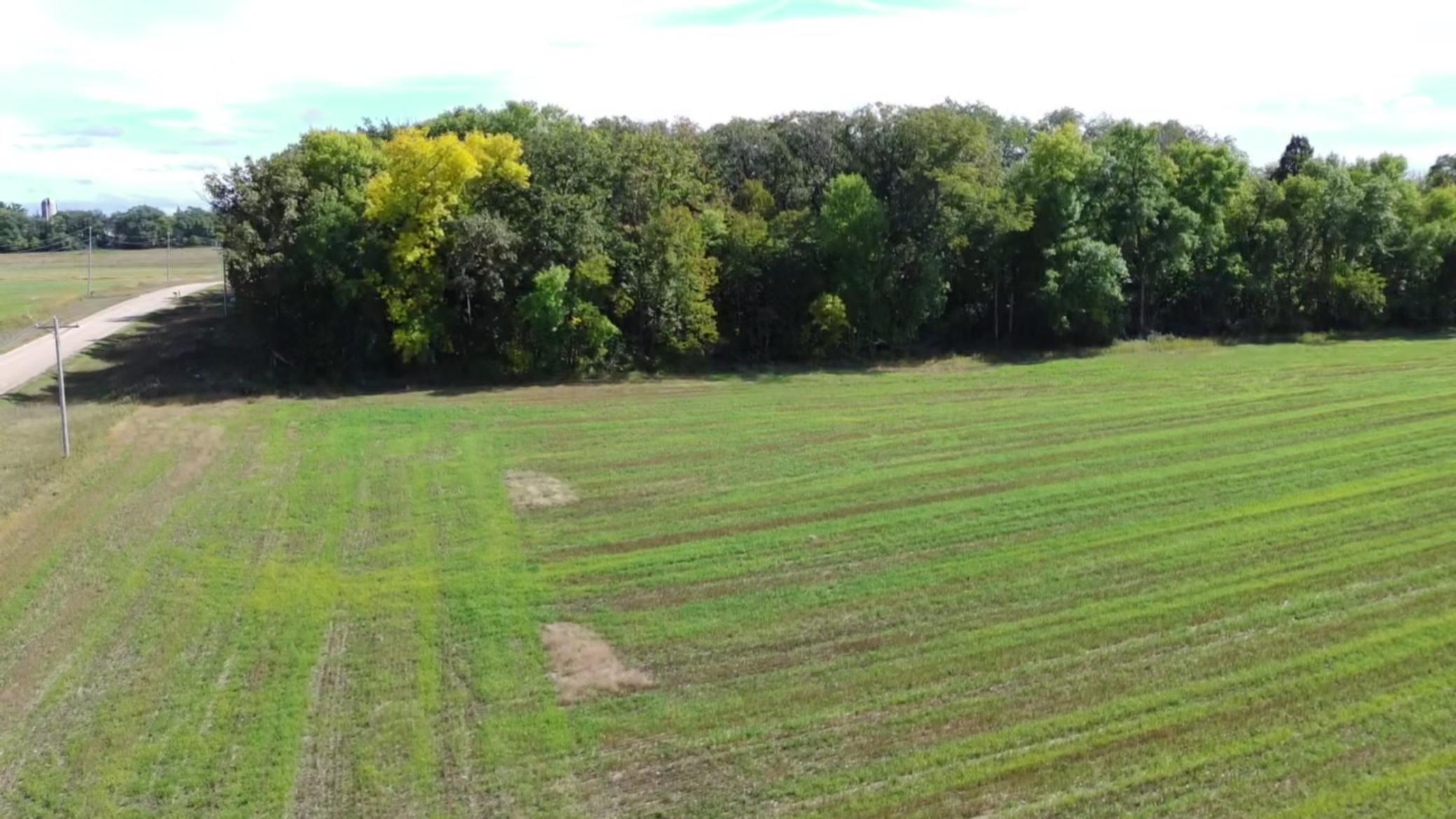 1912 land for sale at 15095 400th Street in Eagle Bend, MN (photo 15 of 31)