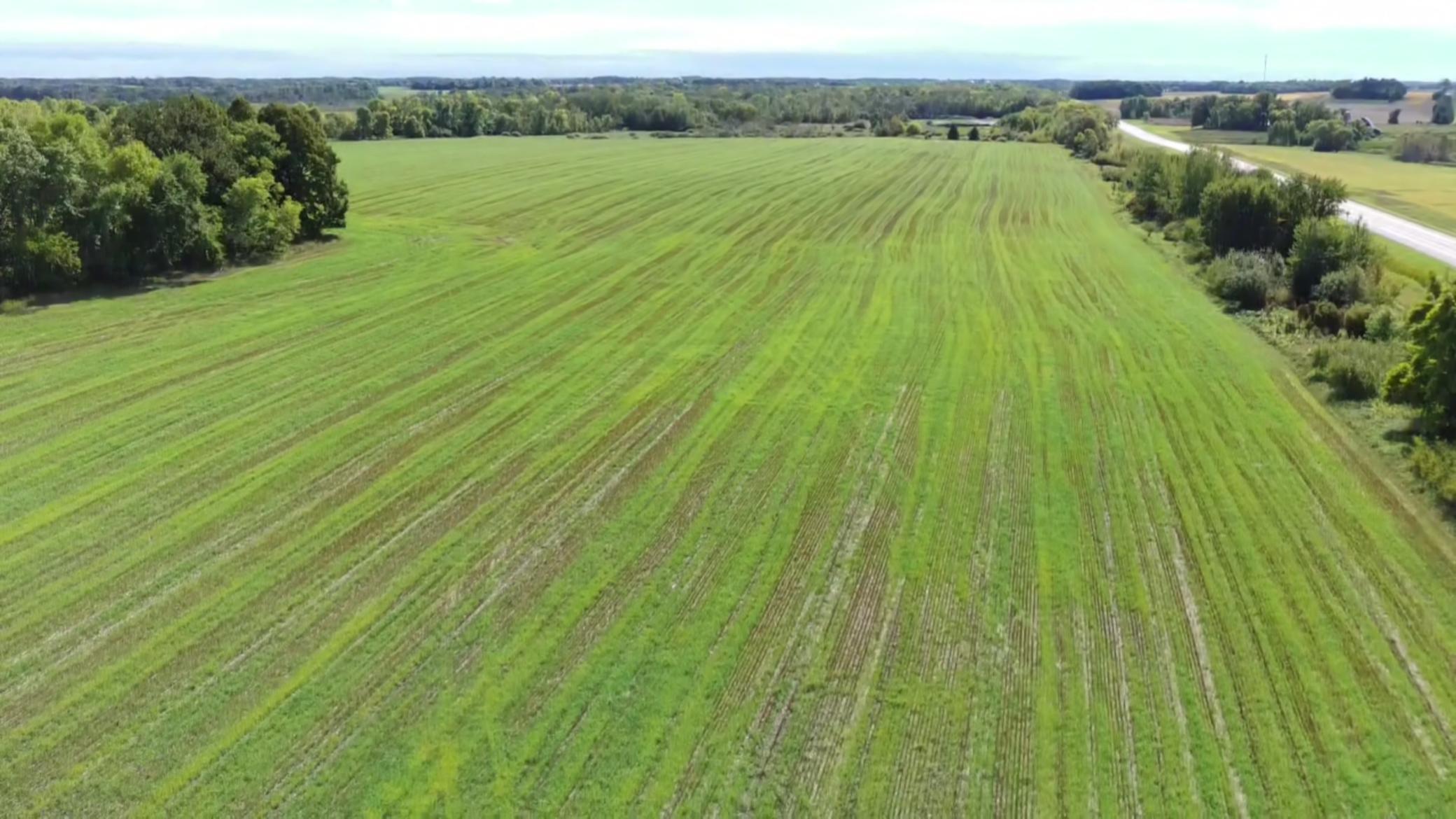 1912 land for sale at 15095 400th Street in Eagle Bend, MN (photo 16 of 31)