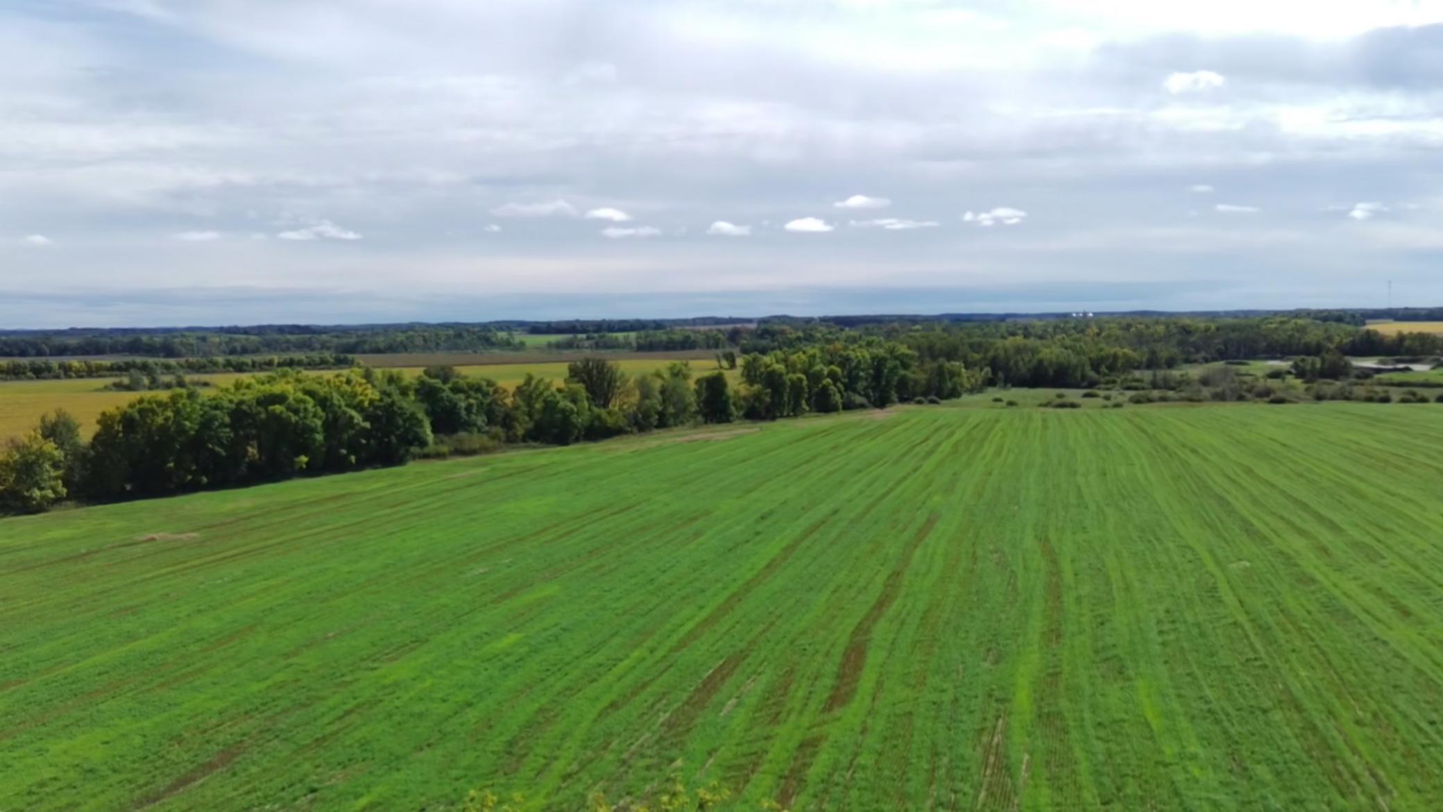 1912 land for sale at 15095 400th Street in Eagle Bend, MN (photo 17 of 31)