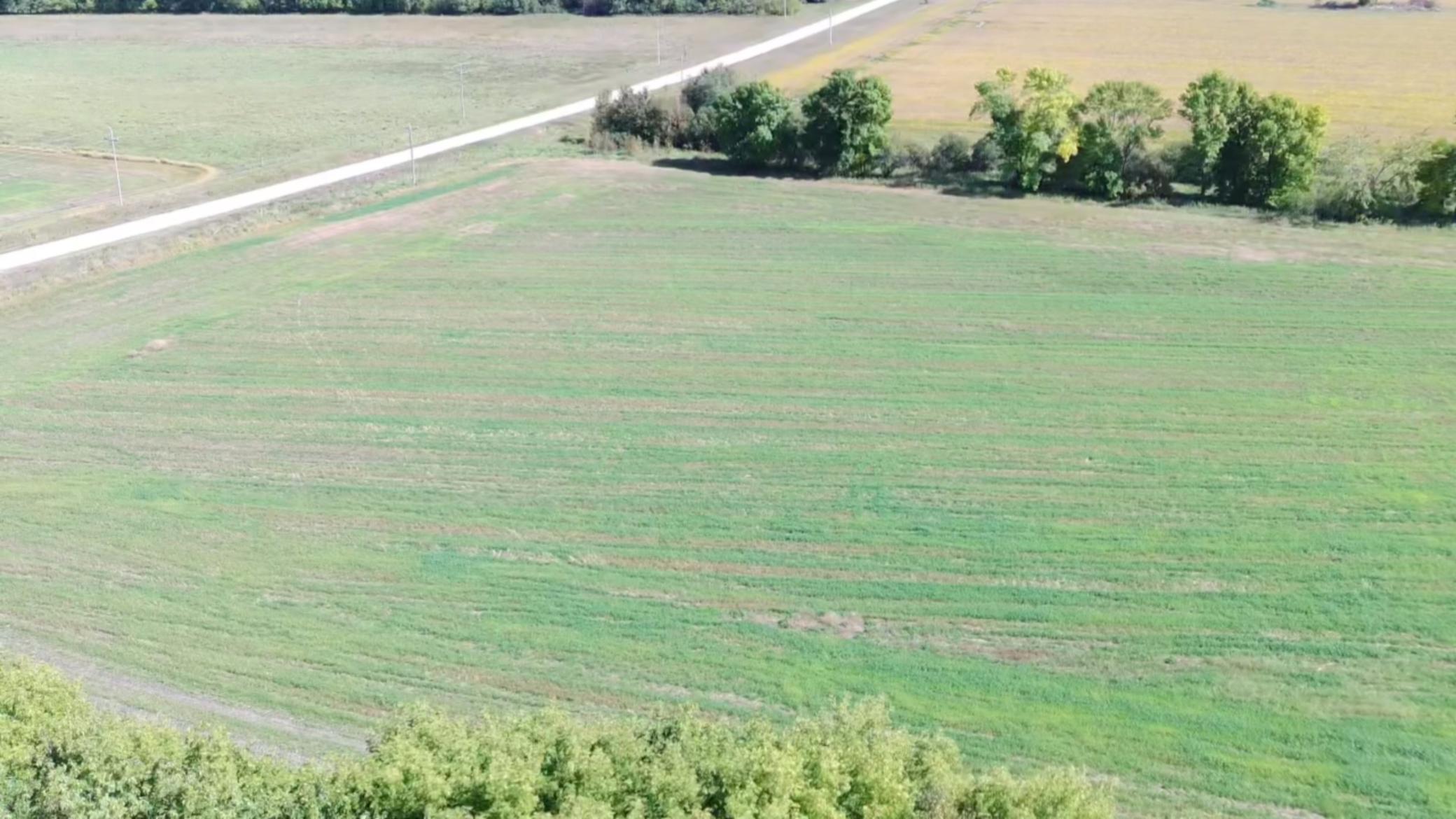 1912 land for sale at 15095 400th Street in Eagle Bend, MN (photo 18 of 31)