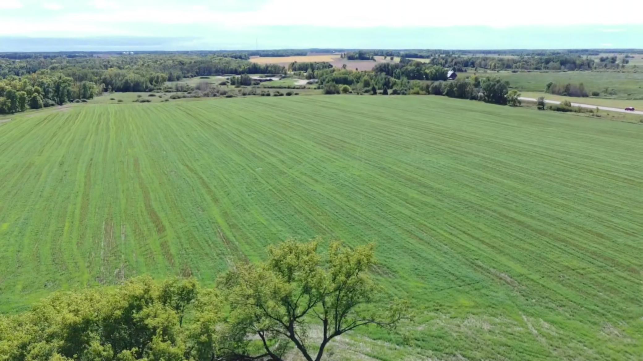 1912 land for sale at 15095 400th Street in Eagle Bend, MN (photo 19 of 31)