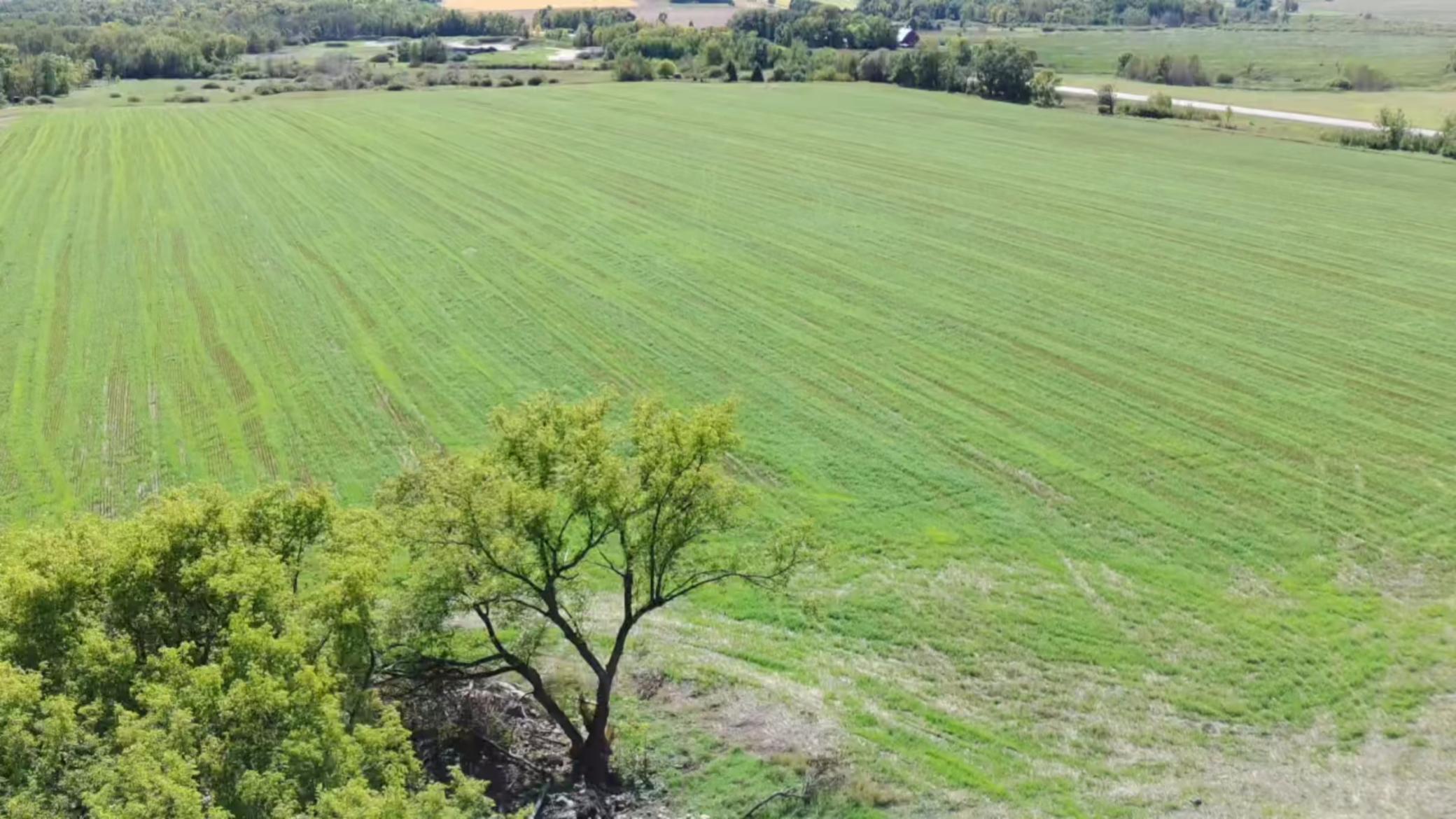 1912 land for sale at 15095 400th Street in Eagle Bend, MN (photo 20 of 31)