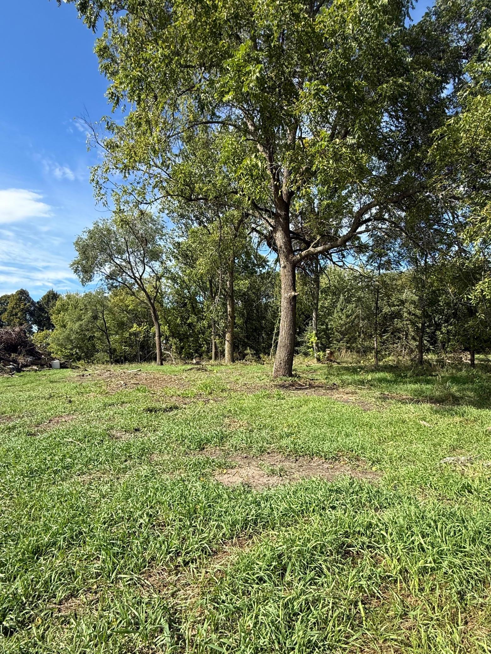 1912 land for sale at 15095 400th Street in Eagle Bend, MN (photo 3 of 31)
