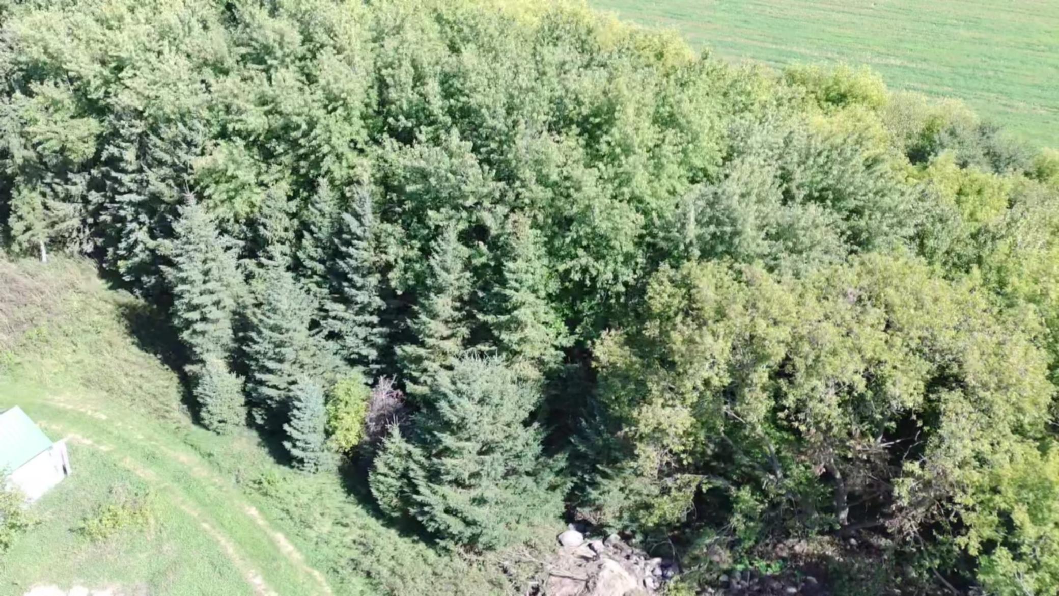 1912 land for sale at 15095 400th Street in Eagle Bend, MN (photo 24 of 31)