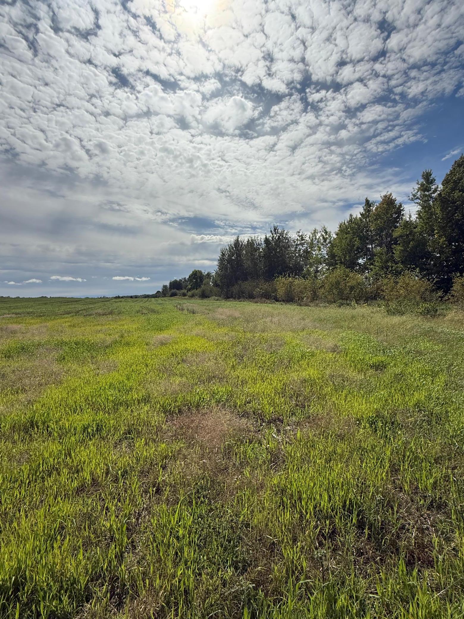 1912 land for sale at 15095 400th Street in Eagle Bend, MN (photo 29 of 31)