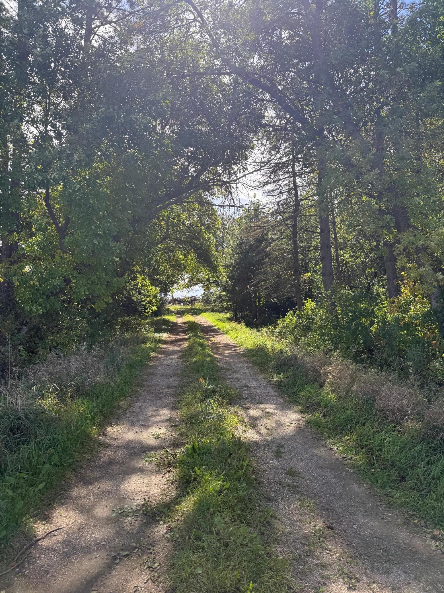 1912 land for sale at 15095 400th Street in Eagle Bend, MN (photo 30 of 31)