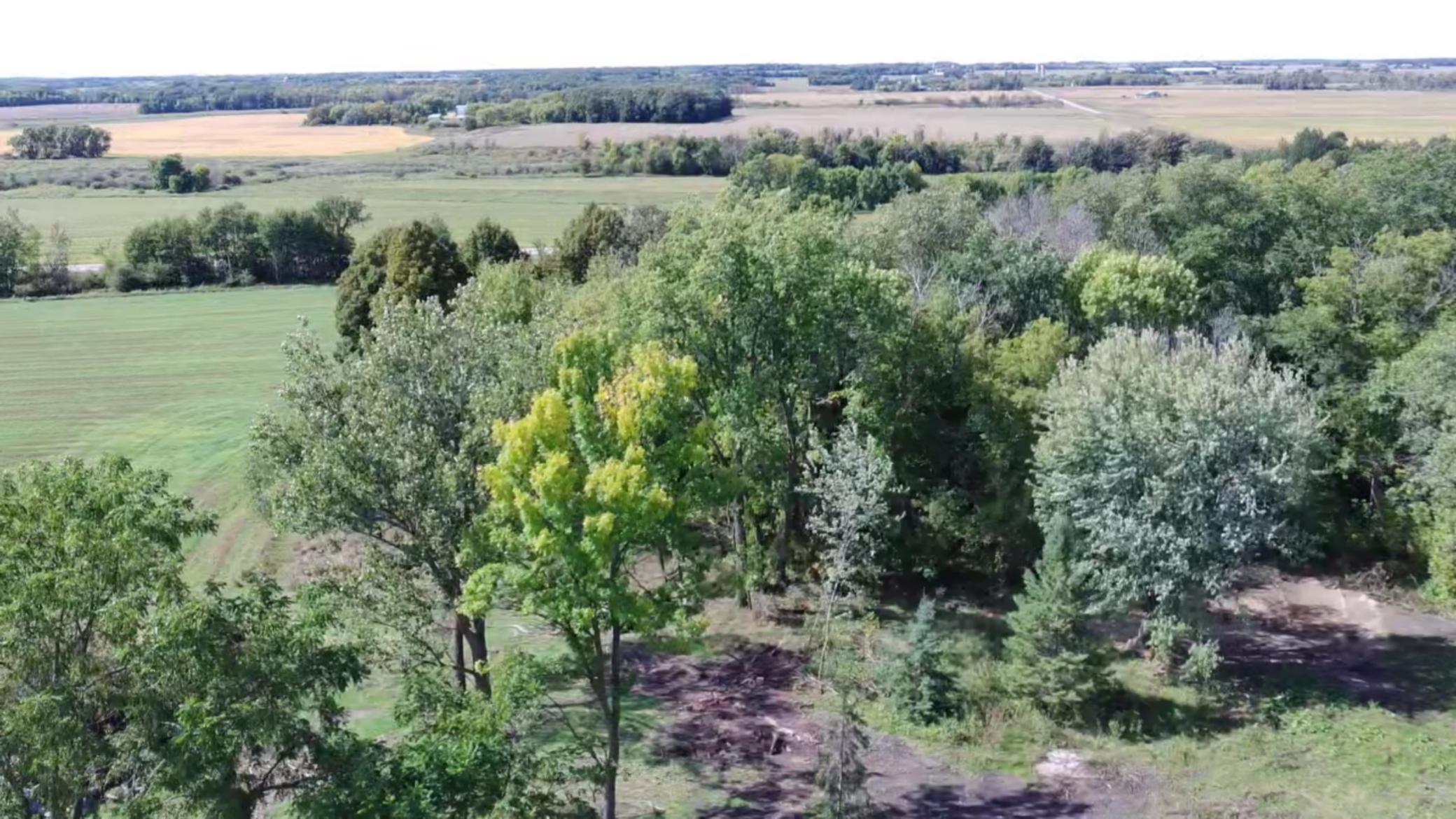 1912 land for sale at 15095 400th Street in Eagle Bend, MN (photo 4 of 31)