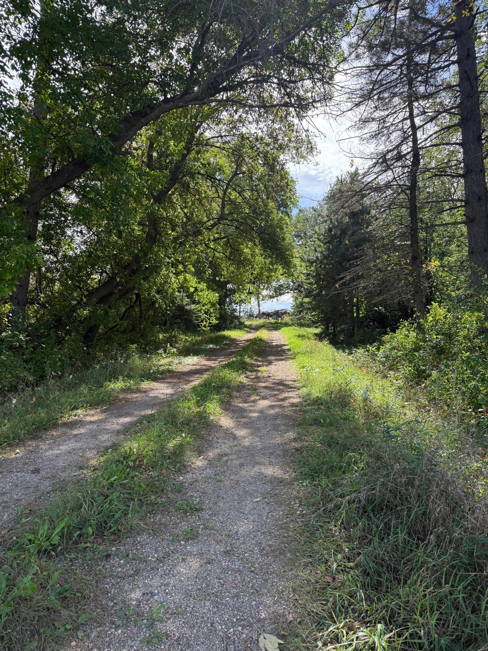 1912 land for sale at 15095 400th Street in Eagle Bend, MN (photo 31 of 31)