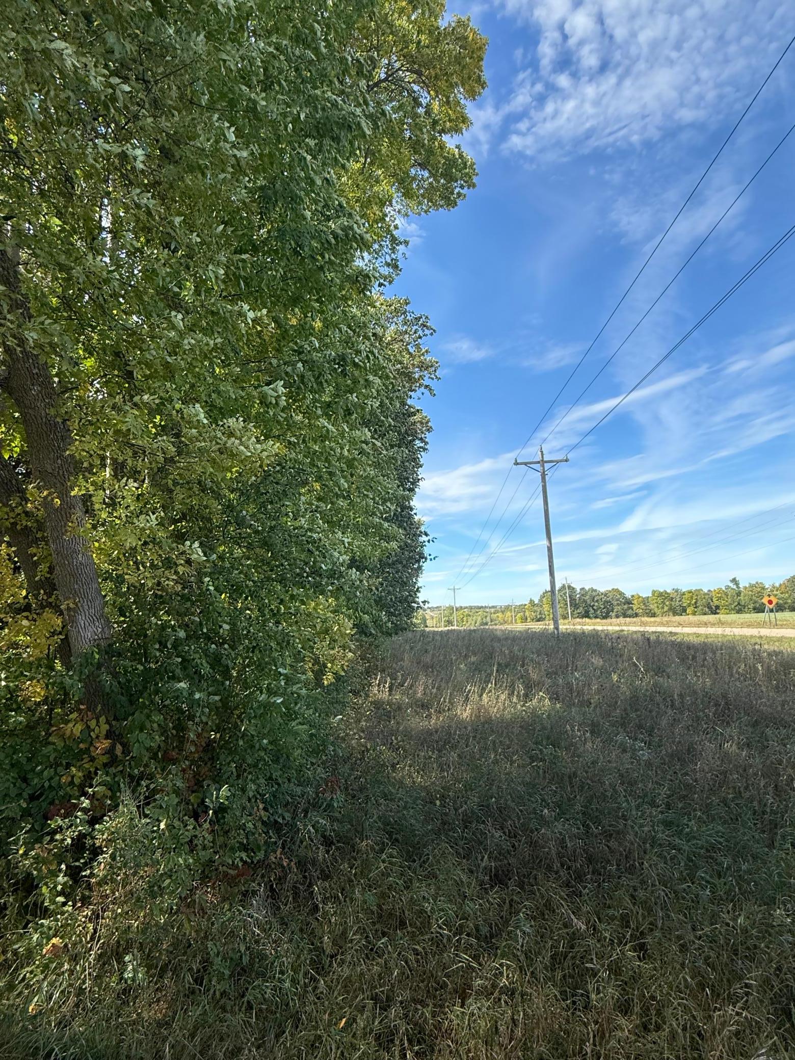 1912 land for sale at 15095 400th Street in Eagle Bend, MN (photo 5 of 31)