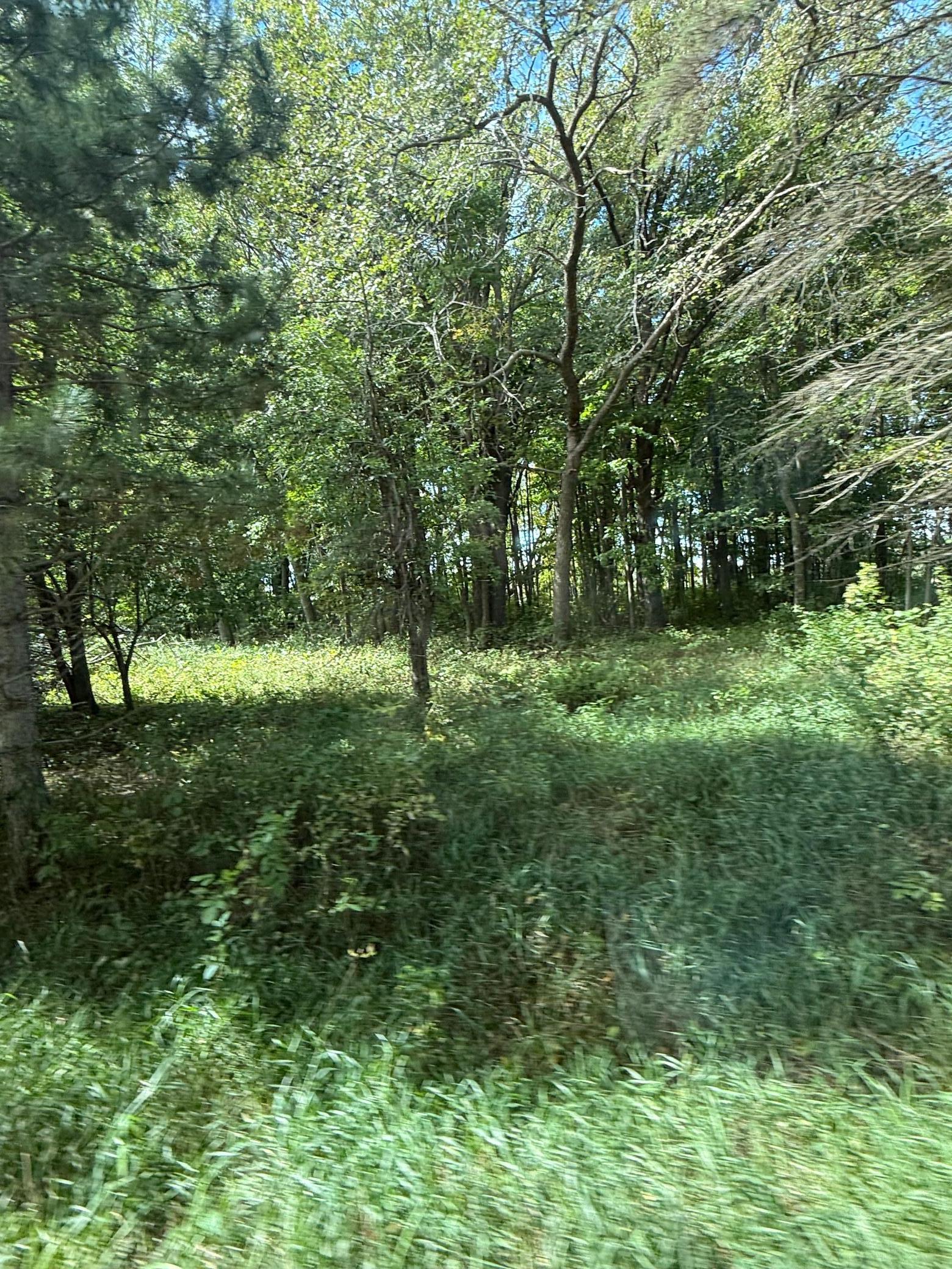 1912 land for sale at 15095 400th Street in Eagle Bend, MN (photo 8 of 31)