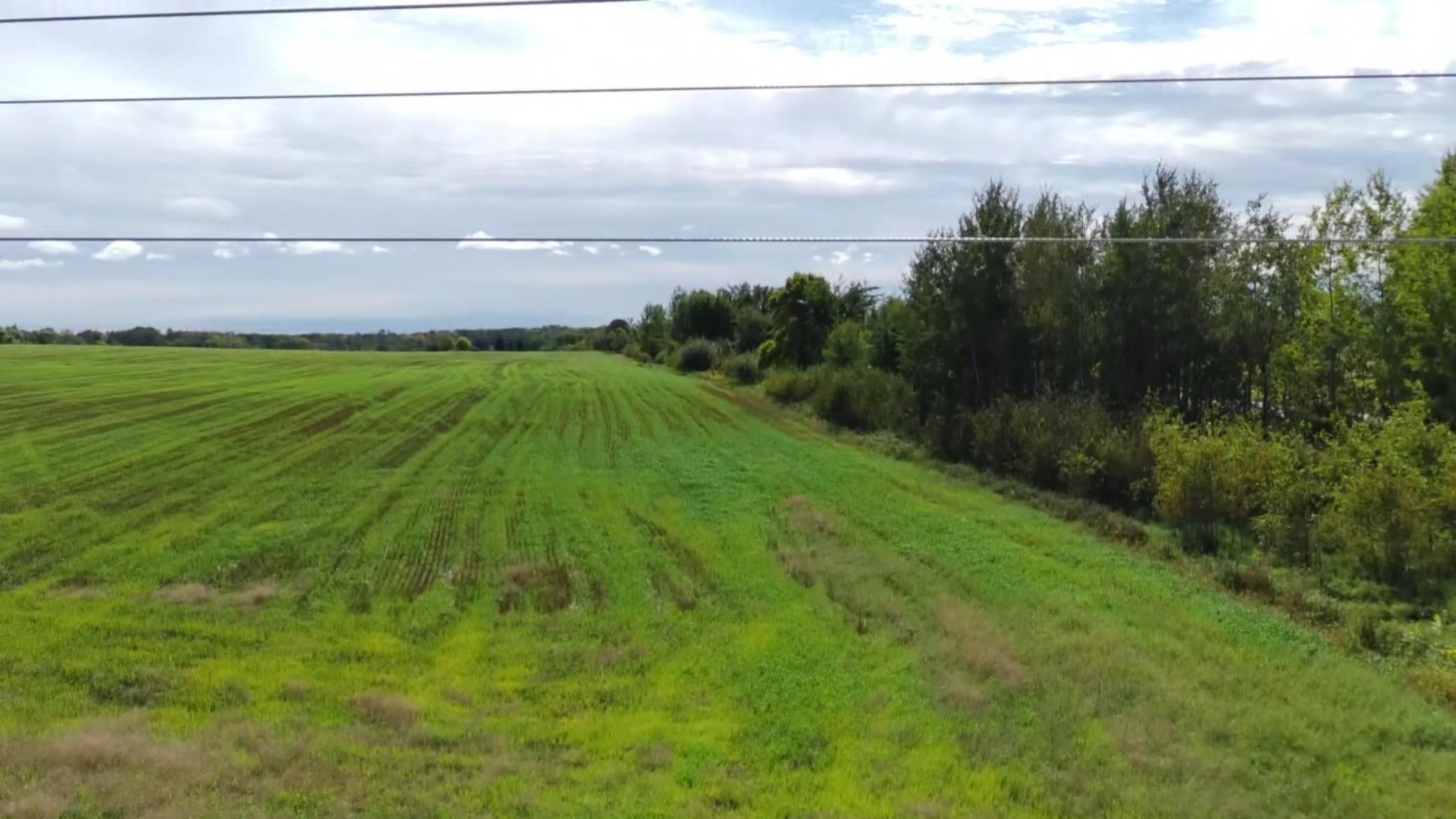 1912 land for sale at 15095 400th Street in Eagle Bend, MN (photo 9 of 31)