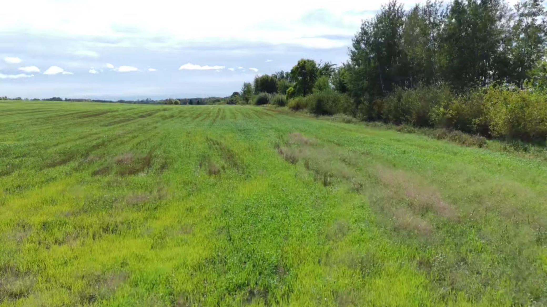 1912 land for sale at 15095 400th Street in Eagle Bend, MN (photo 10 of 31)