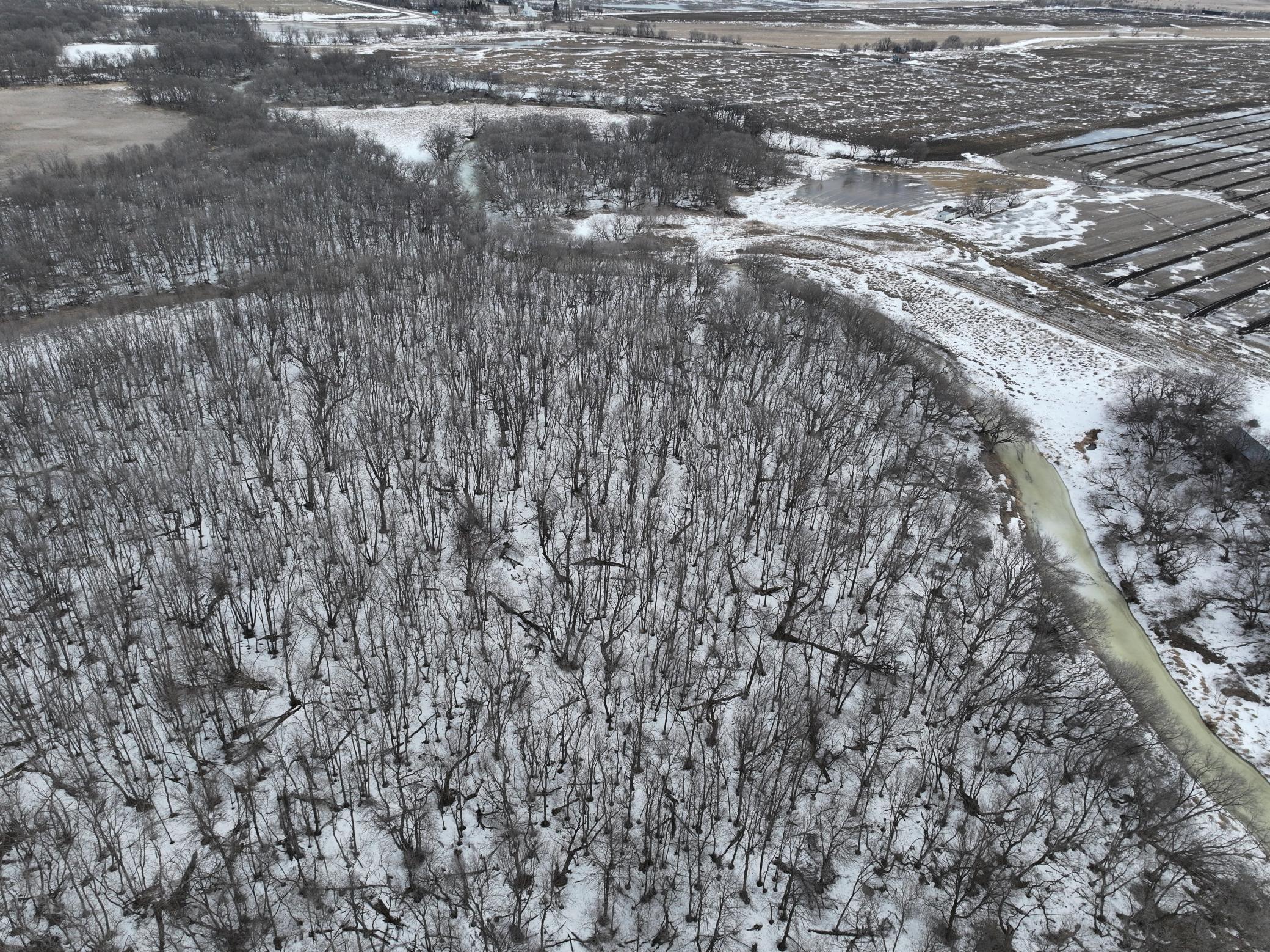 land for sale at TBD 20th st 20th st in Mekinock, ND (photo 8 of 17)